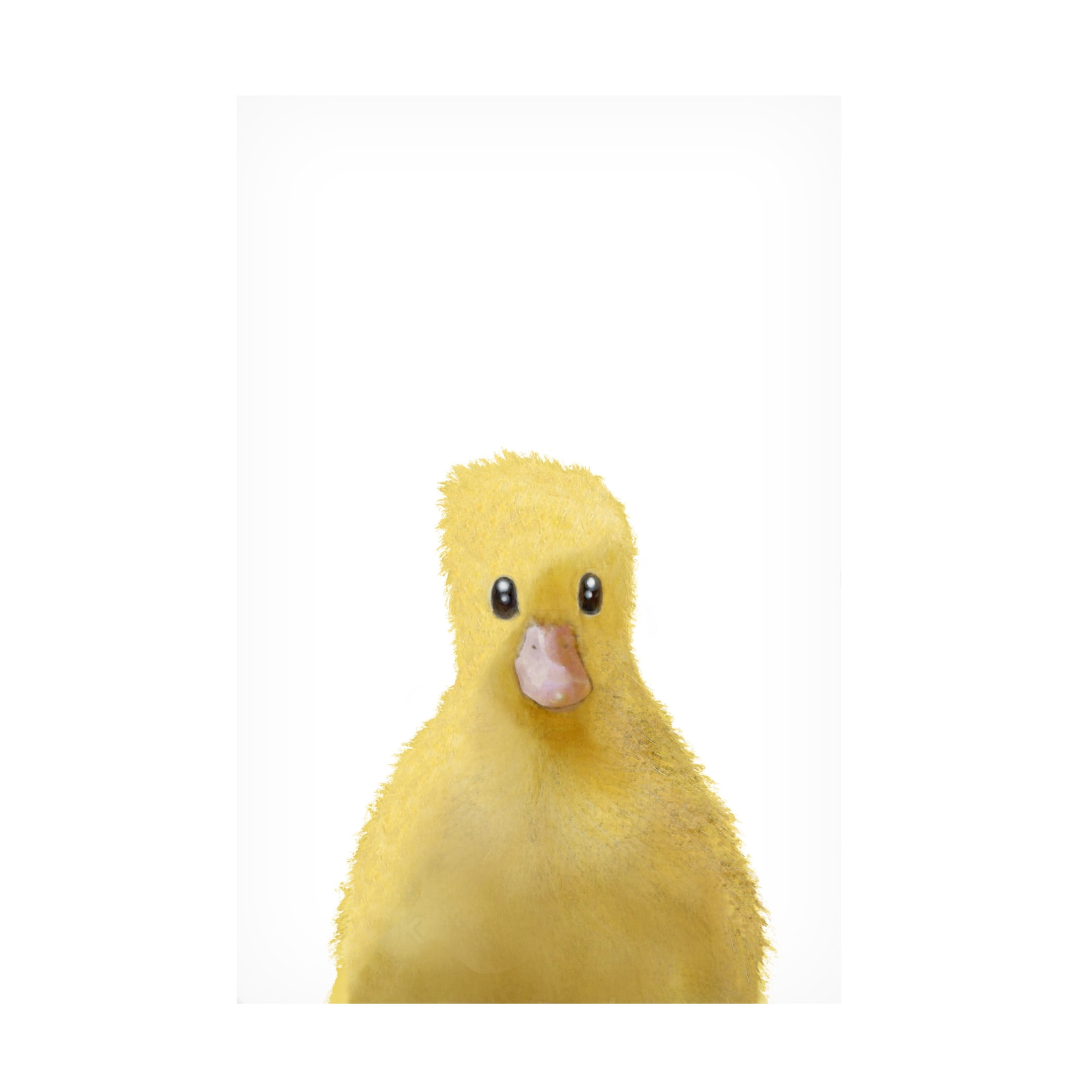 Canvas Wall Art - Pictufy Studio Ii 'Duck' Wall Art for Living Room, Bedroom, or Office Décor by Trademark Fine Art - 12 x 19 Inches