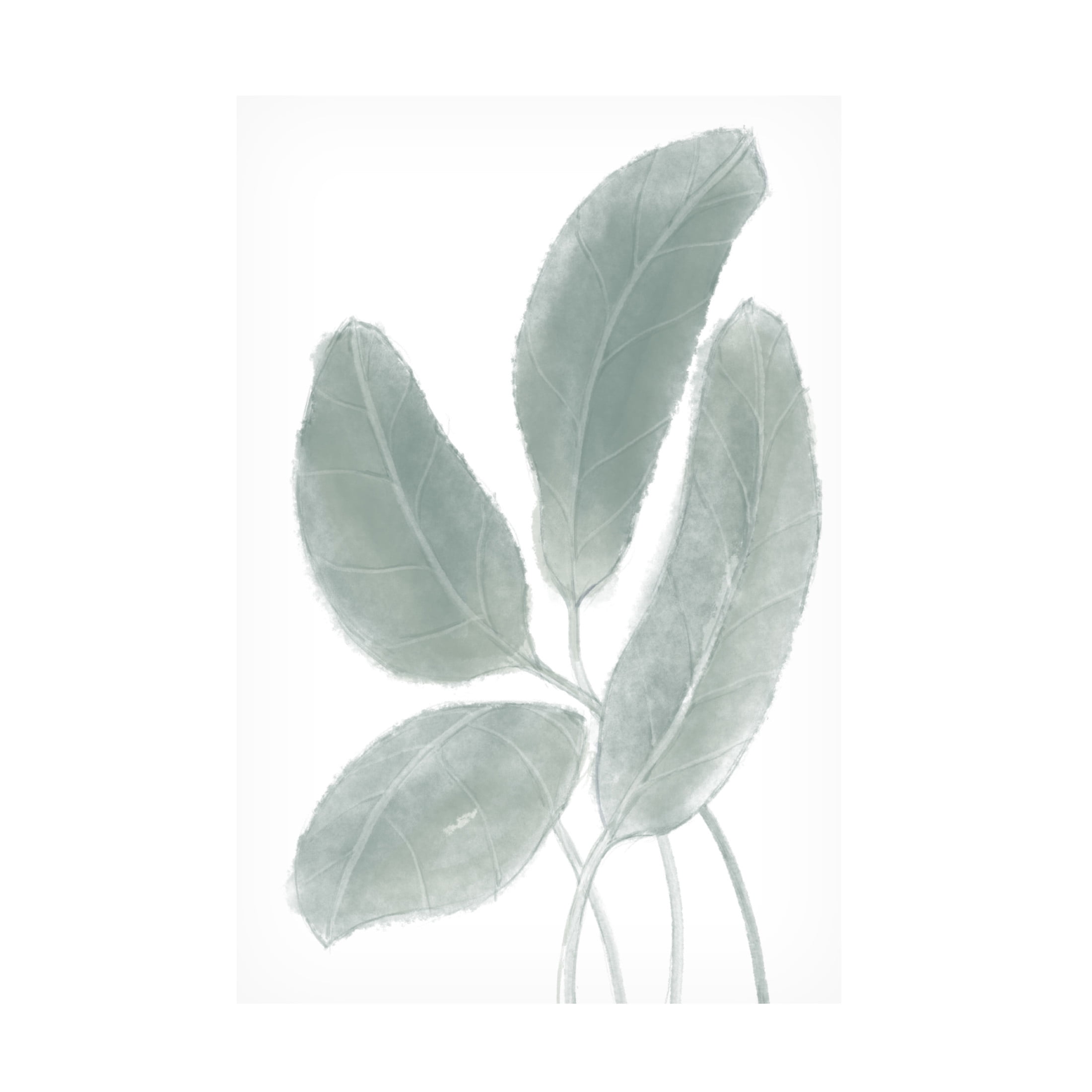 Canvas Wall Art - Pictufy Studio Ii 'Leaves Watercolor 02' Wall Art for Living Room, Bedroom, or Office Décor by Trademark Fine Art - 22 x 32 Inches