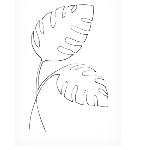 Canvas Wall Art - Pictufy Studio Ii 'Monstera Lines' Wall Art for Living Room, Bedroom, or Office Décor by Trademark Fine Art - 12 x 19 Inches