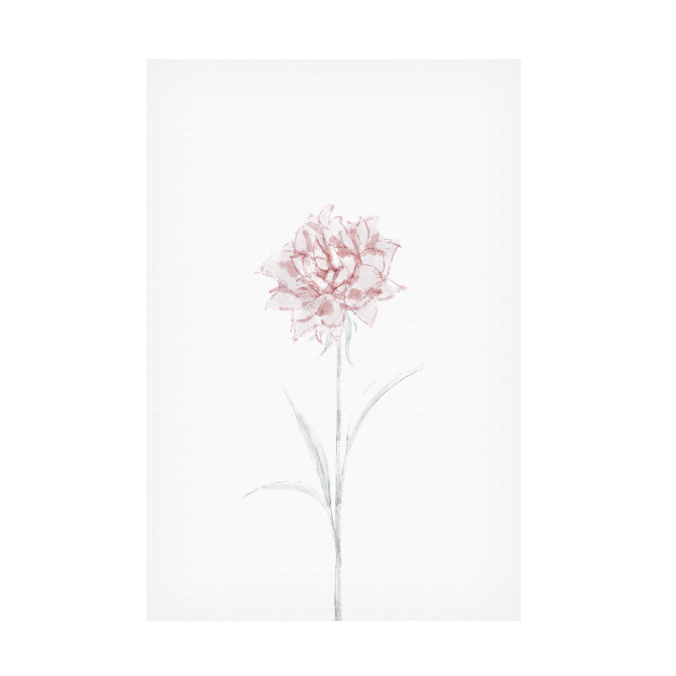 Canvas Wall Art - Pictufy Studio Ii 'Peony 02' Wall Art for Living Room, Bedroom, or Office Décor by Trademark Fine Art - 12 x 19 Inches