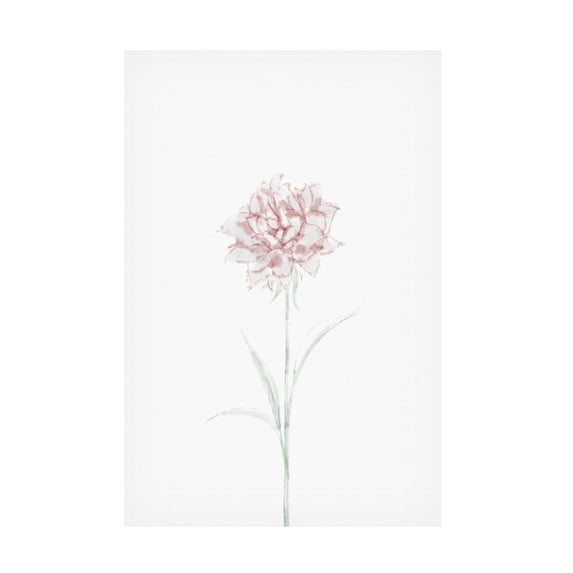 Canvas Wall Art - Pictufy Studio Ii 'Peony 02' Wall Art for Living Room, Bedroom, or Office Décor by Trademark Fine Art - 12 x 19 Inches