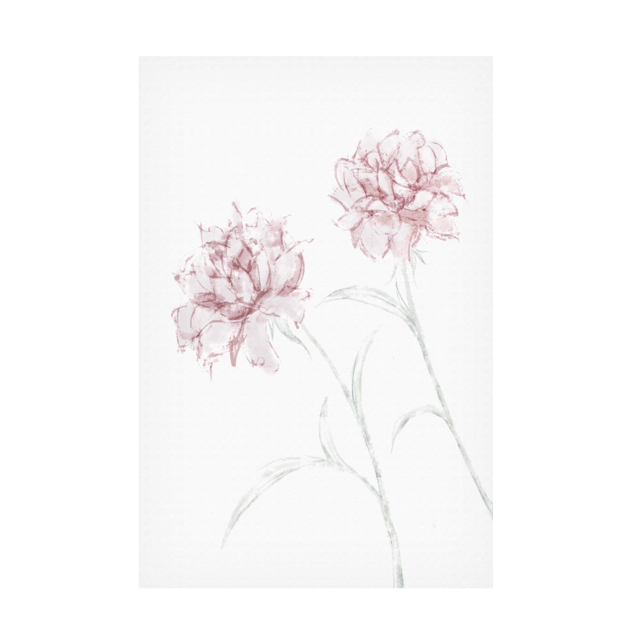 Canvas Wall Art - Pictufy Studio Ii 'Peony 03' Wall Art for Living Room, Bedroom, or Office Décor by Trademark Fine Art - 22 x 32 Inches