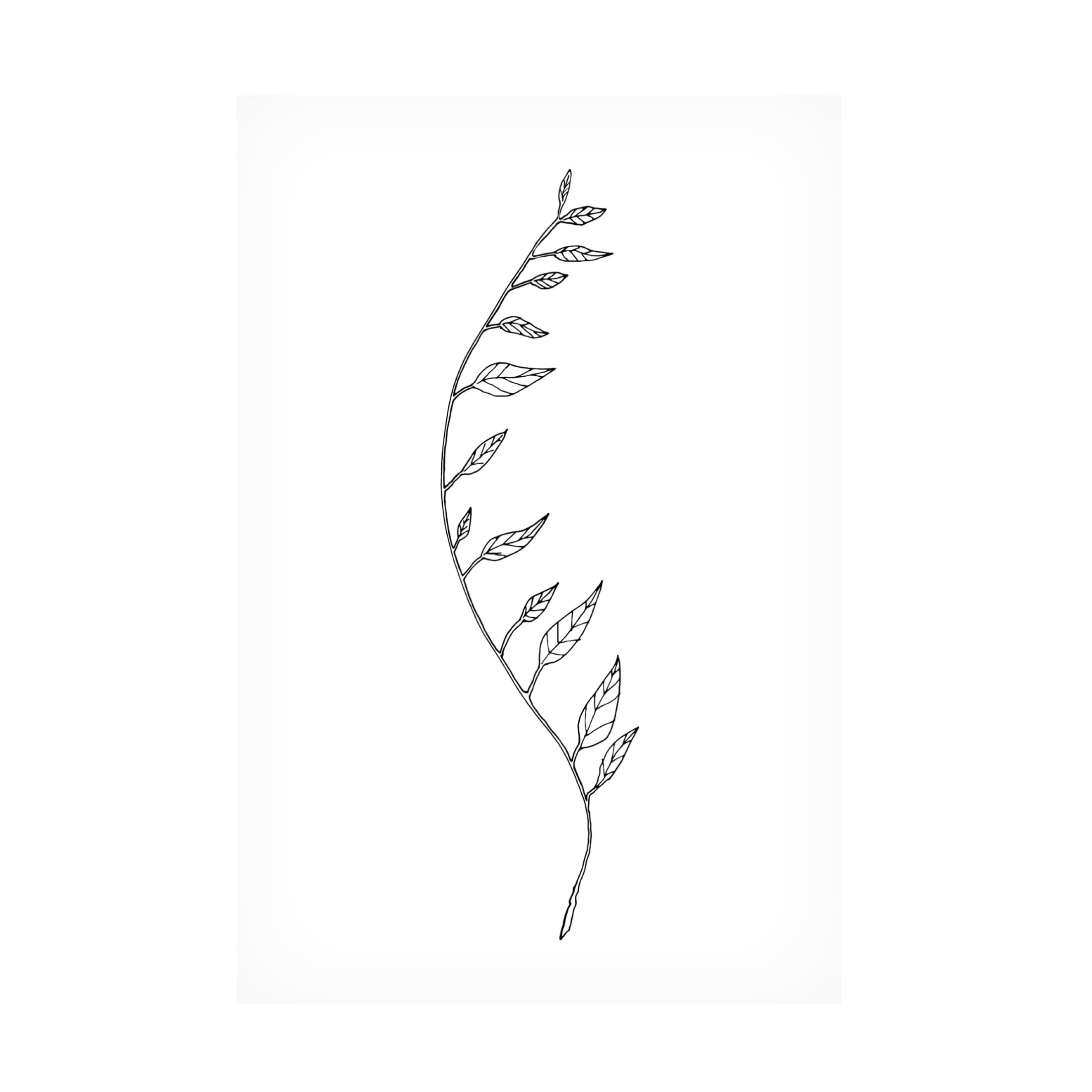 Canvas Wall Art - Pictufy Studio Ii 'Wavy Branch White' Wall Art for Living Room, Bedroom, or Office Décor by Trademark Fine Art - 16 x 24 Inches