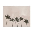 thumbnail image 1 of Canvas Wall Art - Pictufy Studio Ii 'Windy Palm Trees' Wall Art for Living Room, Bedroom, or Office Décor by Trademark Fine Art - 32 x 24 Inches, 1 of 4