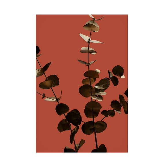 Canvas Wall Art - Pictufy Studio Iii 'Eucalyptus Gold Rust 01' Wall Art for Living Room, Bedroom, or Office D?cor by Trademark Fine Art - 12 x 19 Inches