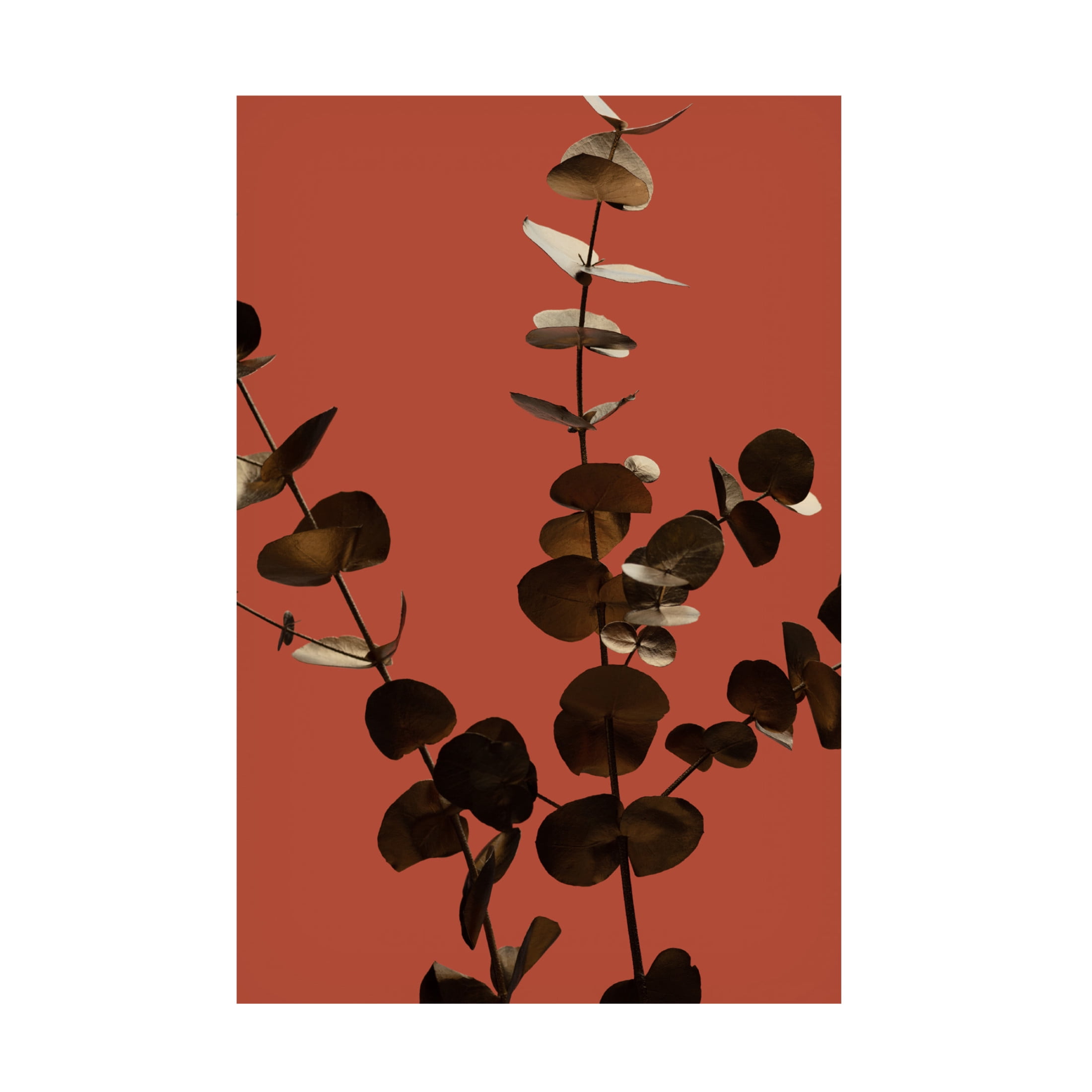 Canvas Wall Art - Pictufy Studio Iii 'Eucalyptus Gold Rust 01' Wall Art for Living Room, Bedroom, or Office D?cor by Trademark Fine Art - 30 x 47 Inches