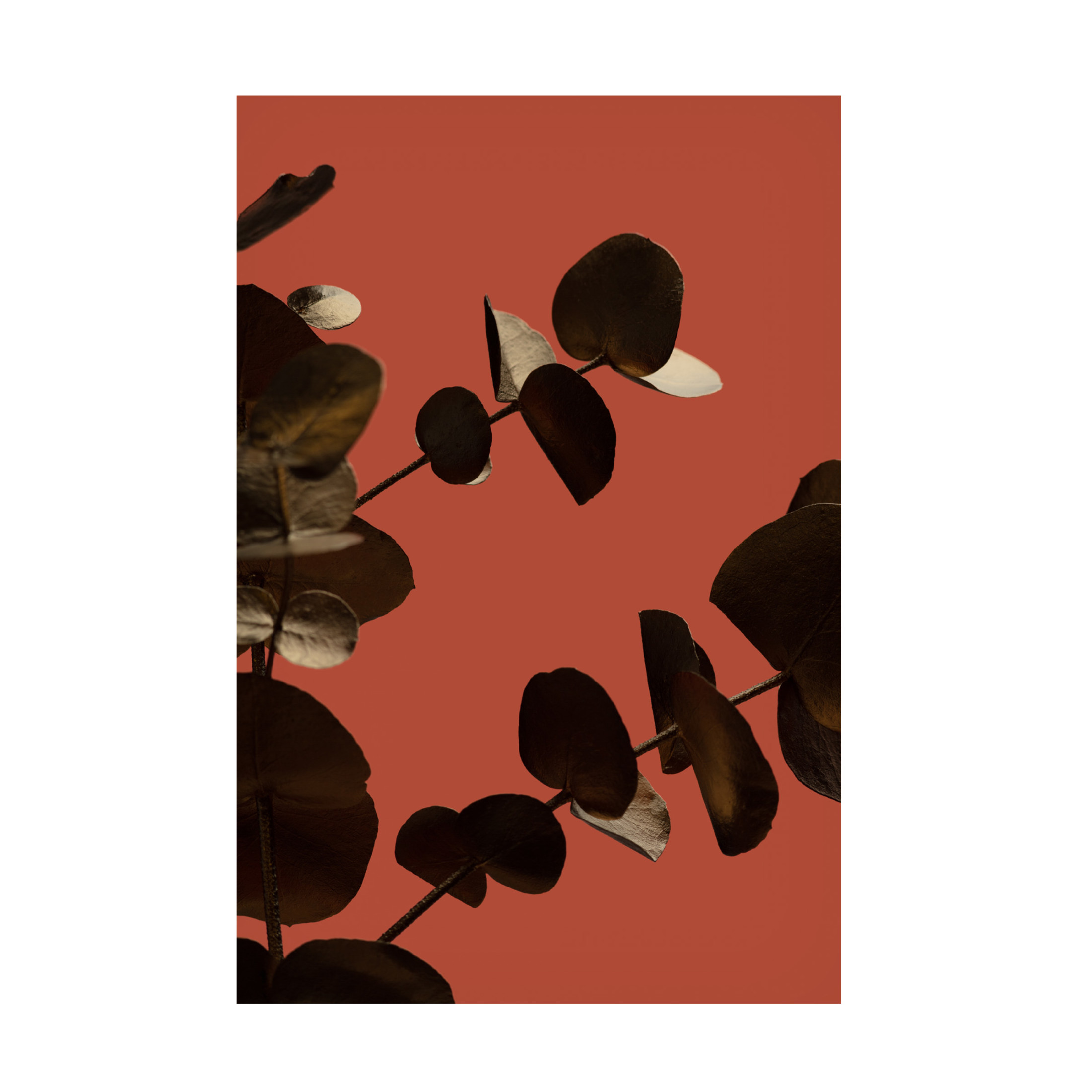 Canvas Wall Art - Pictufy Studio Iii 'Eucalyptus Gold Rust 02' Wall Art for Living Room, Bedroom, or Office D?cor by Trademark Fine Art - 22 x 32 Inches