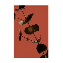Canvas Wall Art - Pictufy Studio Iii 'Eucalyptus Gold Rust 03' Wall Art for Living Room, Bedroom, or Office D?cor by Trademark Fine Art - 12 x 19 Inches