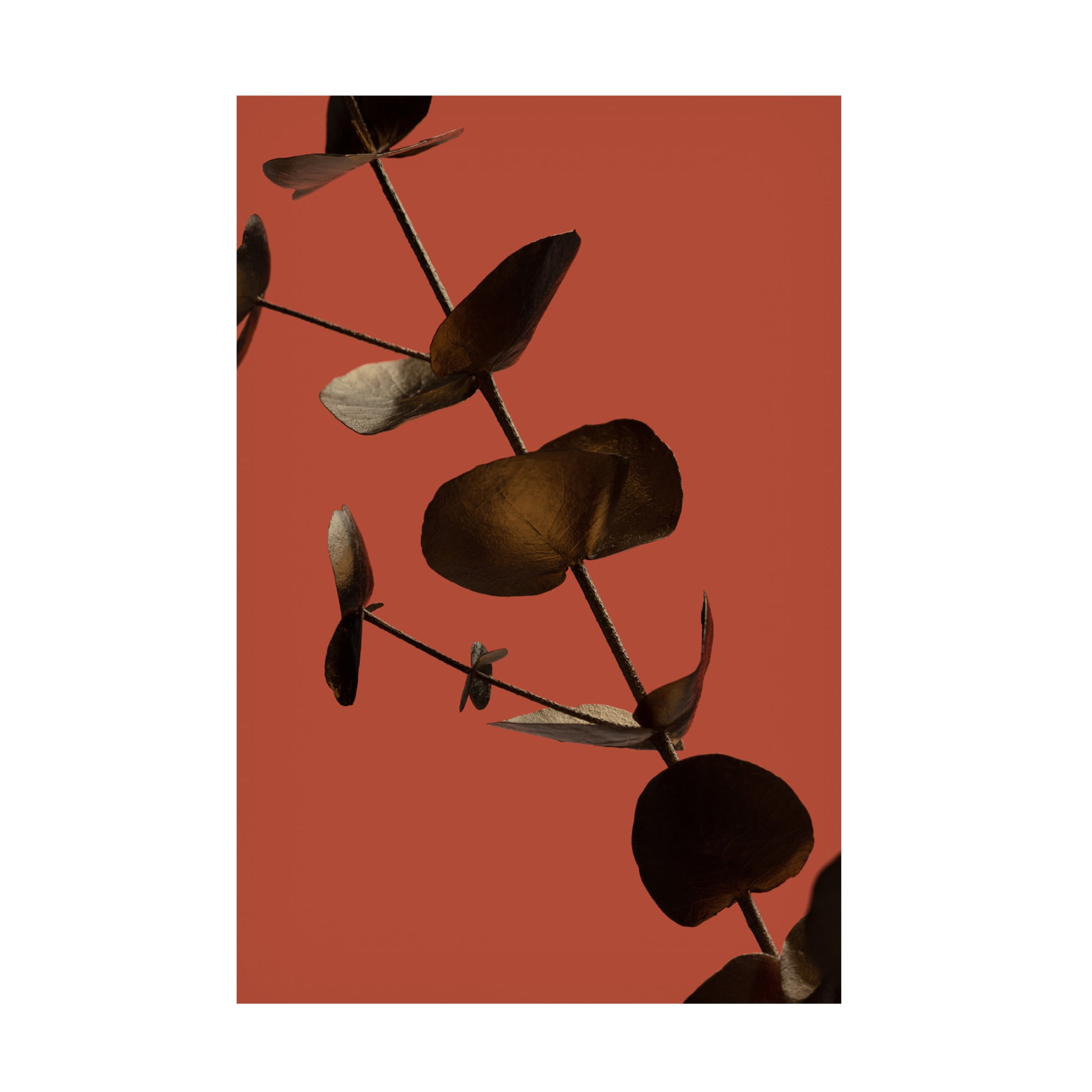 Canvas Wall Art - Pictufy Studio Iii 'Eucalyptus Gold Rust 03' Wall Art for Living Room, Bedroom, or Office D?cor by Trademark Fine Art - 16 x 24 Inches
