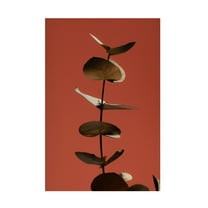 Canvas Wall Art - Pictufy Studio Iii 'Eucalyptus Gold Rust 04' Wall Art for Living Room, Bedroom, or Office D?cor by Trademark Fine Art - 12 x 19 Inches