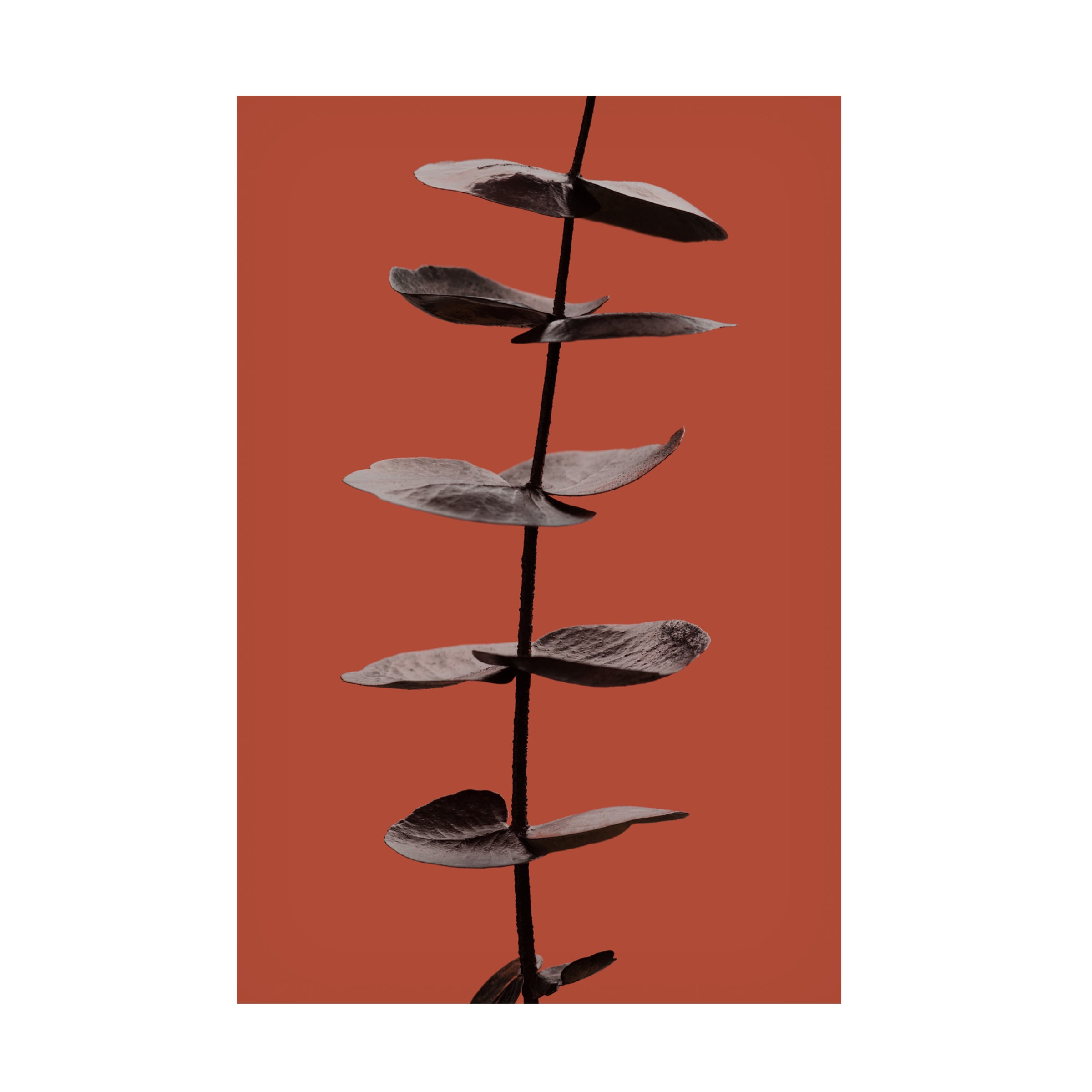 Canvas Wall Art - Pictufy Studio Iii 'Eucalyptus Rust 03' Wall Art for Living Room, Bedroom, or Office D?cor by Trademark Fine Art - 22 x 32 Inches