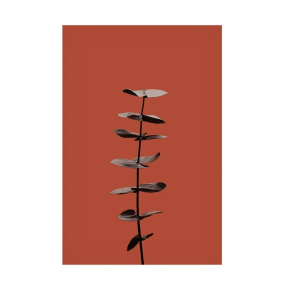 Canvas Wall Art - Pictufy Studio Iii 'Eucalyptus Rust 04' Wall Art for Living Room, Bedroom, or Office D?cor by Trademark Fine Art - 12 x 19 Inches