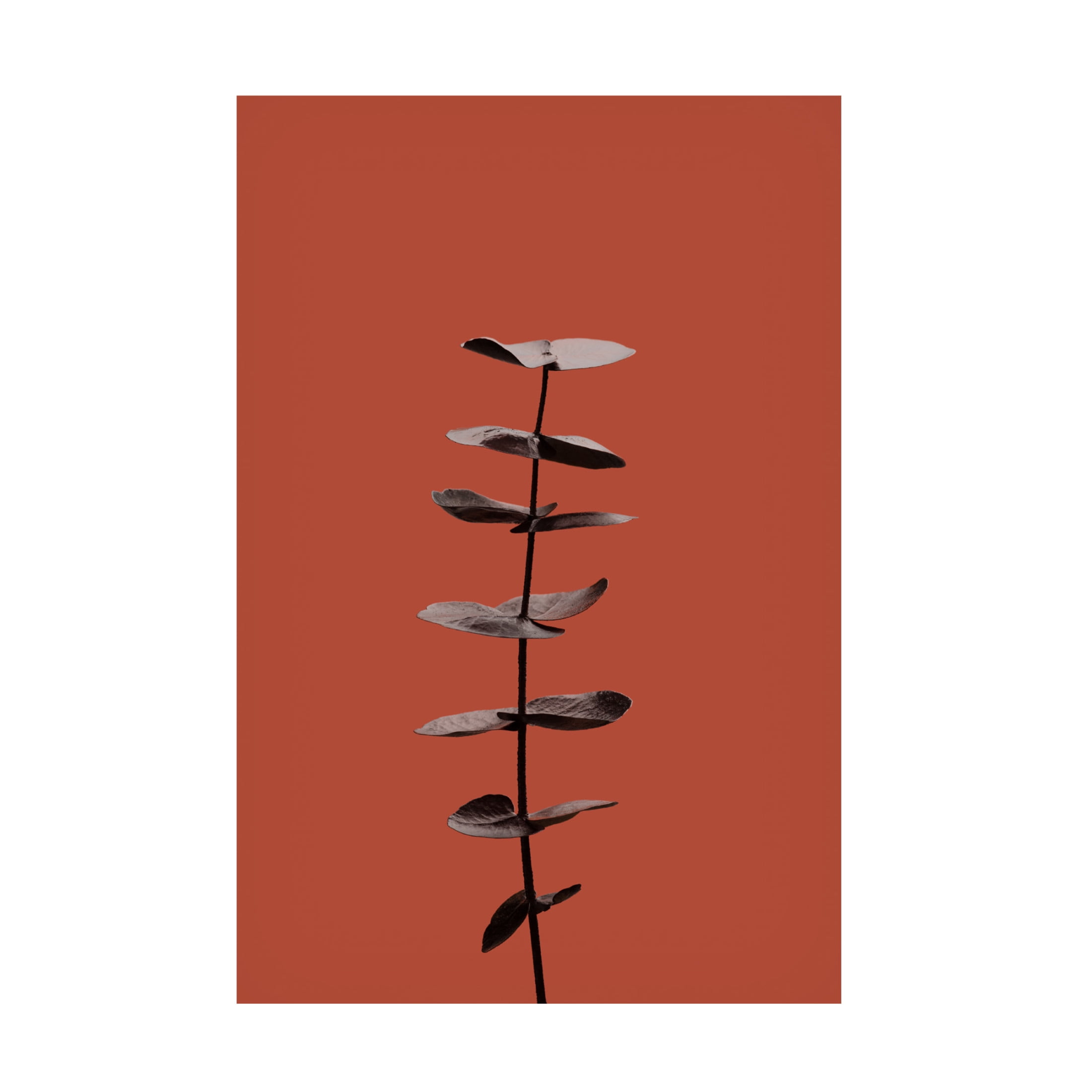 Canvas Wall Art - Pictufy Studio Iii 'Eucalyptus Rust 04' Wall Art for Living Room, Bedroom, or Office D?cor by Trademark Fine Art - 22 x 32 Inches