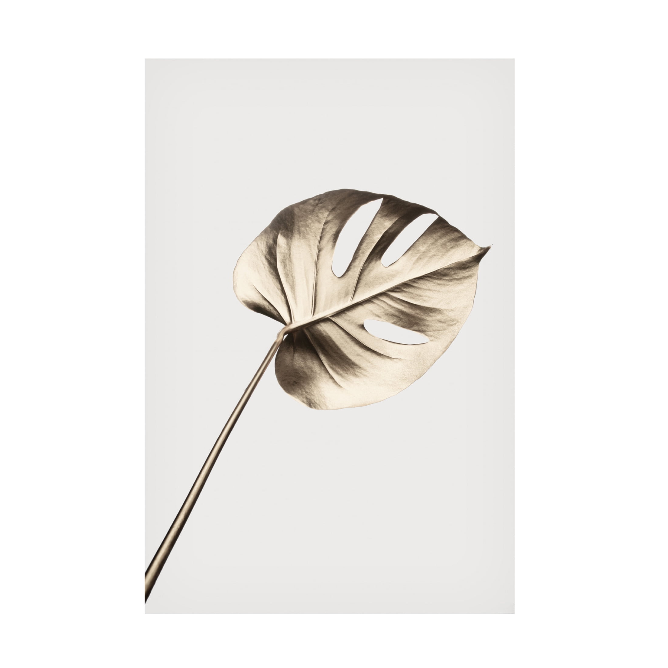 Canvas Wall Art - Pictufy Studio Iii 'Monstera Gold 07' Wall Art for Living Room, Bedroom, or Office D?cor by Trademark Fine Art - 22 x 32 Inches