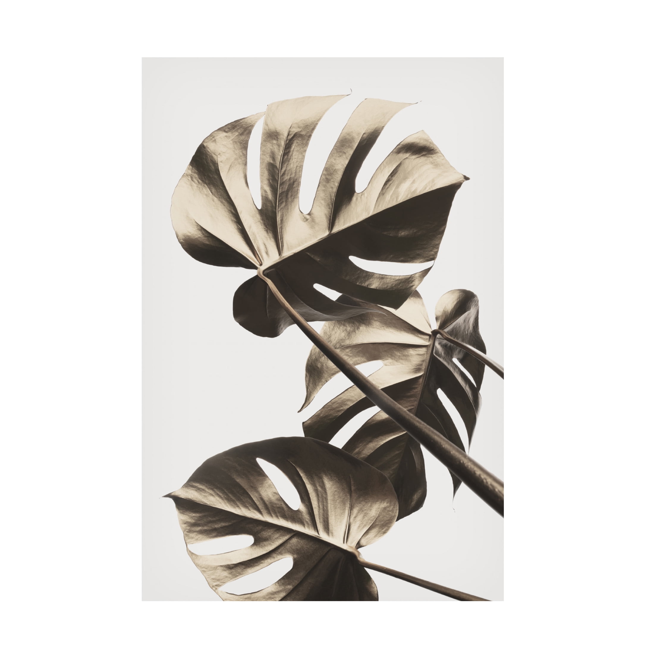 Canvas Wall Art - Pictufy Studio Iii 'Monstera Gold 09' Wall Art for Living Room, Bedroom, or Office D?cor by Trademark Fine Art - 22 x 32 Inches