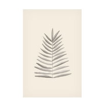 Canvas Wall Art - Pictufy Studio 'Palm Leaf Ink' Wall Art for Living Room, Bedroom, or Office Décor by Trademark Fine Art - 12 x 19 Inches