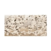 Canvas Wall Art - Qingsong Wang 'Flock Exposure' Wall Art for Living Room, Bedroom, or Office D?cor by Trademark Fine Art - 32 x 16 Inches