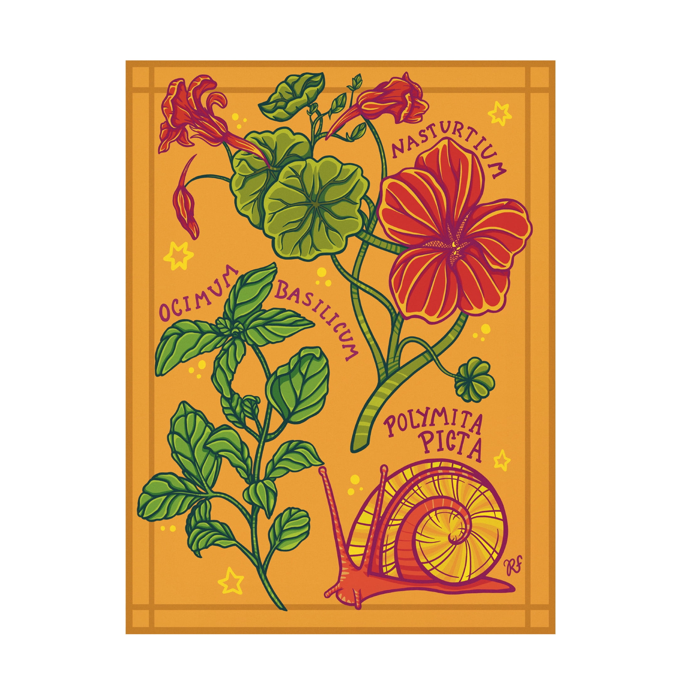 Canvas Wall Art - Rachel Feirman 'Garden Study' Wall Art for Living Room, Bedroom, or Office Décor by Trademark Fine Art - 14 x 19 Inches