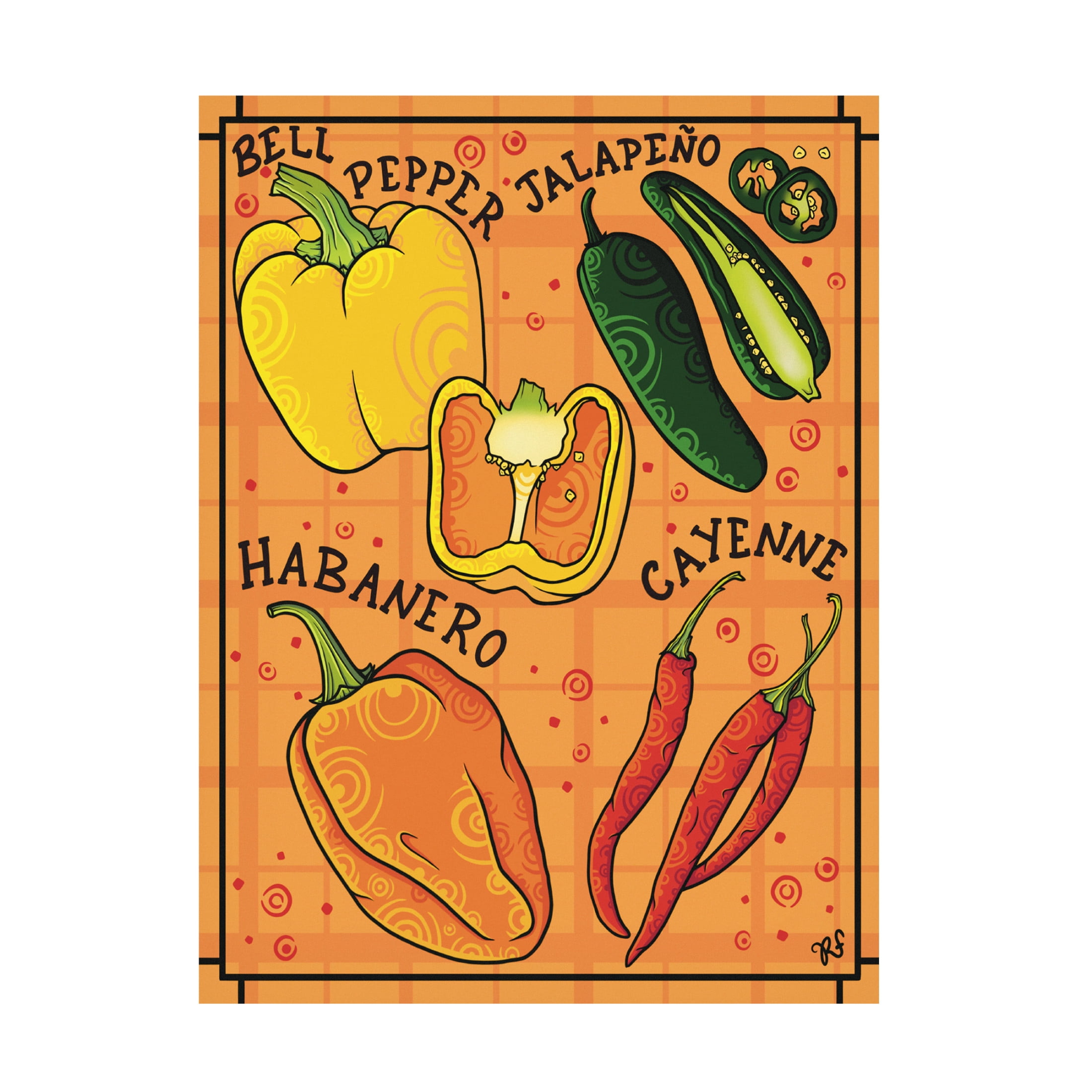 Canvas Wall Art - Rachel Feirman 'Spice of Life' Wall Art for Living Room, Bedroom, or Office Décor by Trademark Fine Art - 35 x 47 Inches