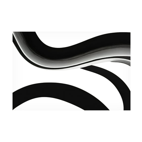 Canvas Wall Art - Ray Heere 'Black White Bold Strokes 10' Wall Art for Living Room, Bedroom, or Office Décor by Trademark Fine Art - 19 x 12 Inches