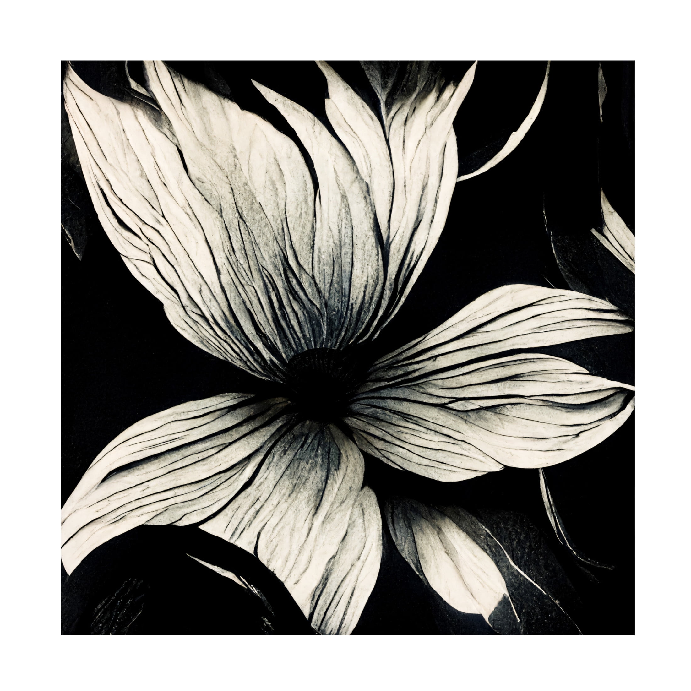 Canvas Wall Art - Ray Heere 'Flowers Black White 10' Wall Art for Living Room, Bedroom, or Office Décor by Trademark Fine Art - 18 x 18 Inches