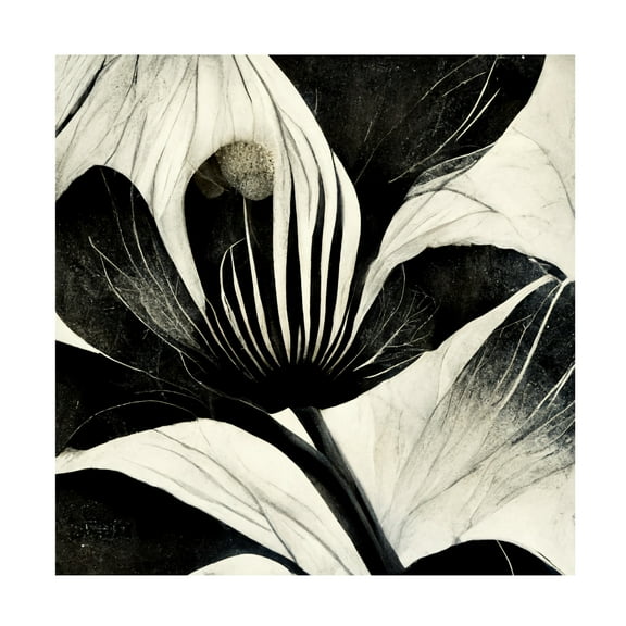 Canvas Wall Art - Ray Heere 'Flowers Black White 6' Wall Art for Living Room, Bedroom, or Office Décor by Trademark Fine Art - 14 x 14 Inches