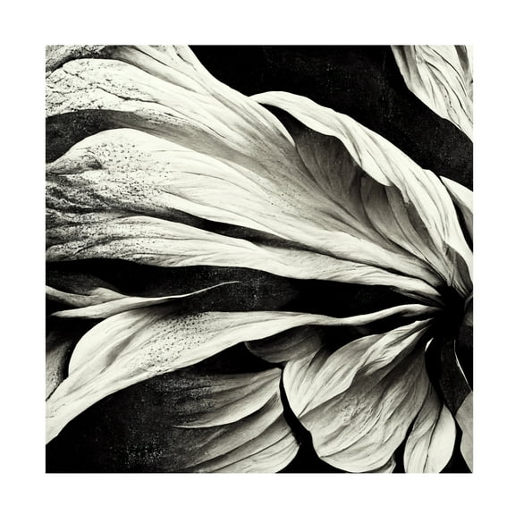 Canvas Wall Art - Ray Heere 'Flowers Black White 9' Wall Art for Living Room, Bedroom, or Office Décor by Trademark Fine Art - 14 x 14 Inches