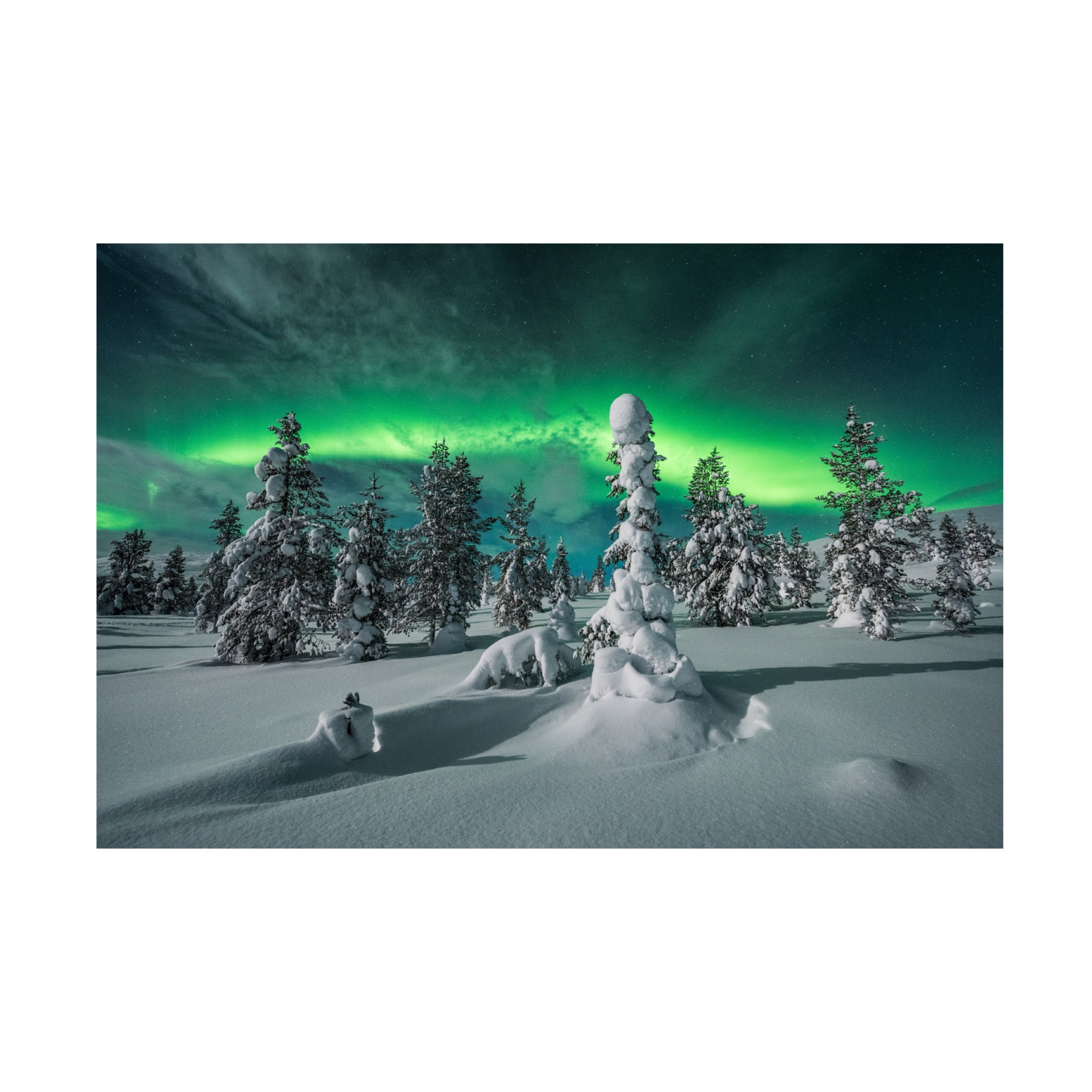 Canvas Wall Art - Raymond Hoffmann ' Polar Night' Wall Art for Living Room, Bedroom, or Office D?cor by Trademark Fine Art - 47 x 30 Inches