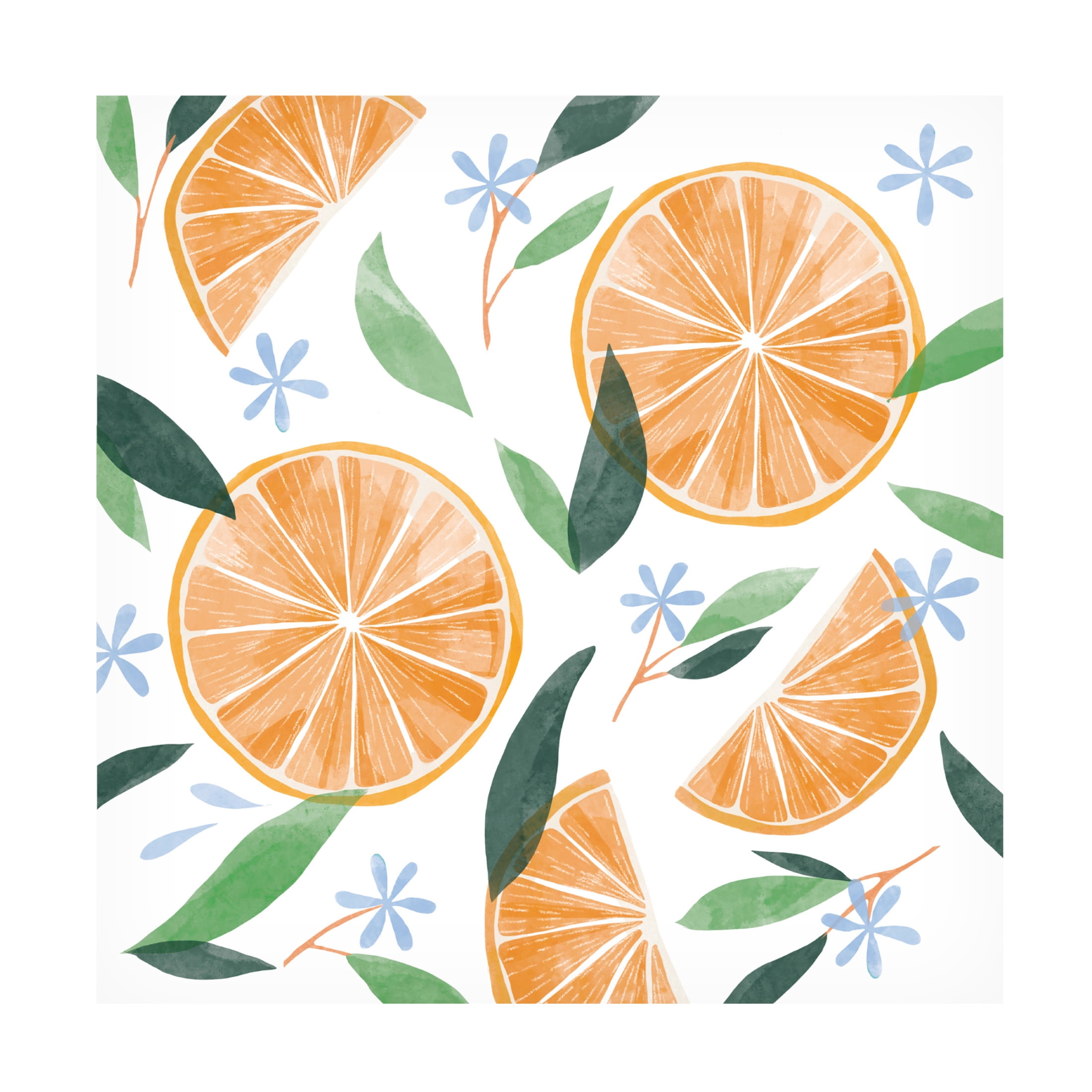 Canvas Wall Art - Rebekah Ewer 'Orange Blossom Slices I' Wall Art for Living Room, Bedroom, or Office Décor by Trademark Fine Art - 24 x 24 Inches