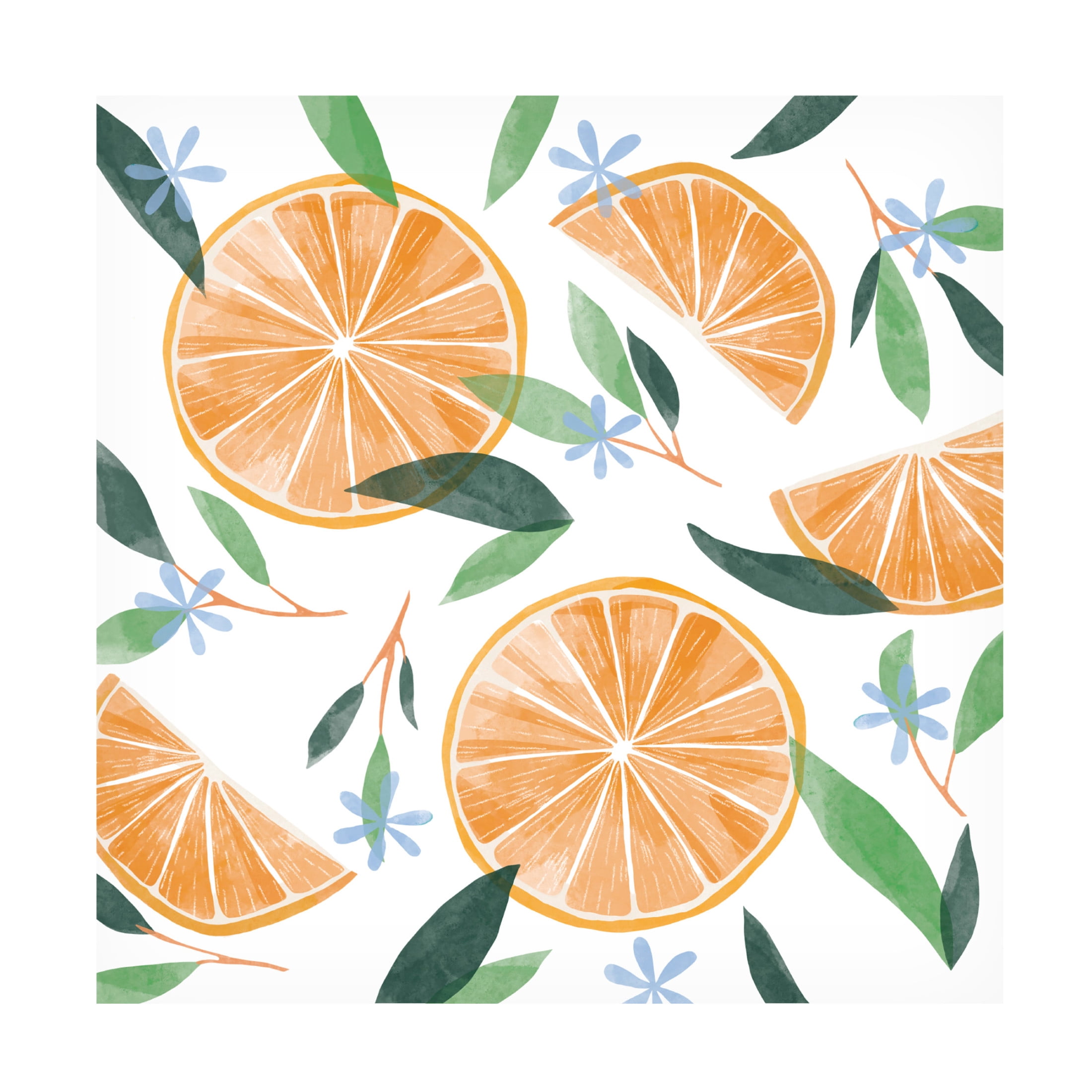 Canvas Wall Art - Rebekah Ewer 'Orange Blossom Slices II' Wall Art for Living Room, Bedroom, or Office Décor by Trademark Fine Art - 14 x 14 Inches