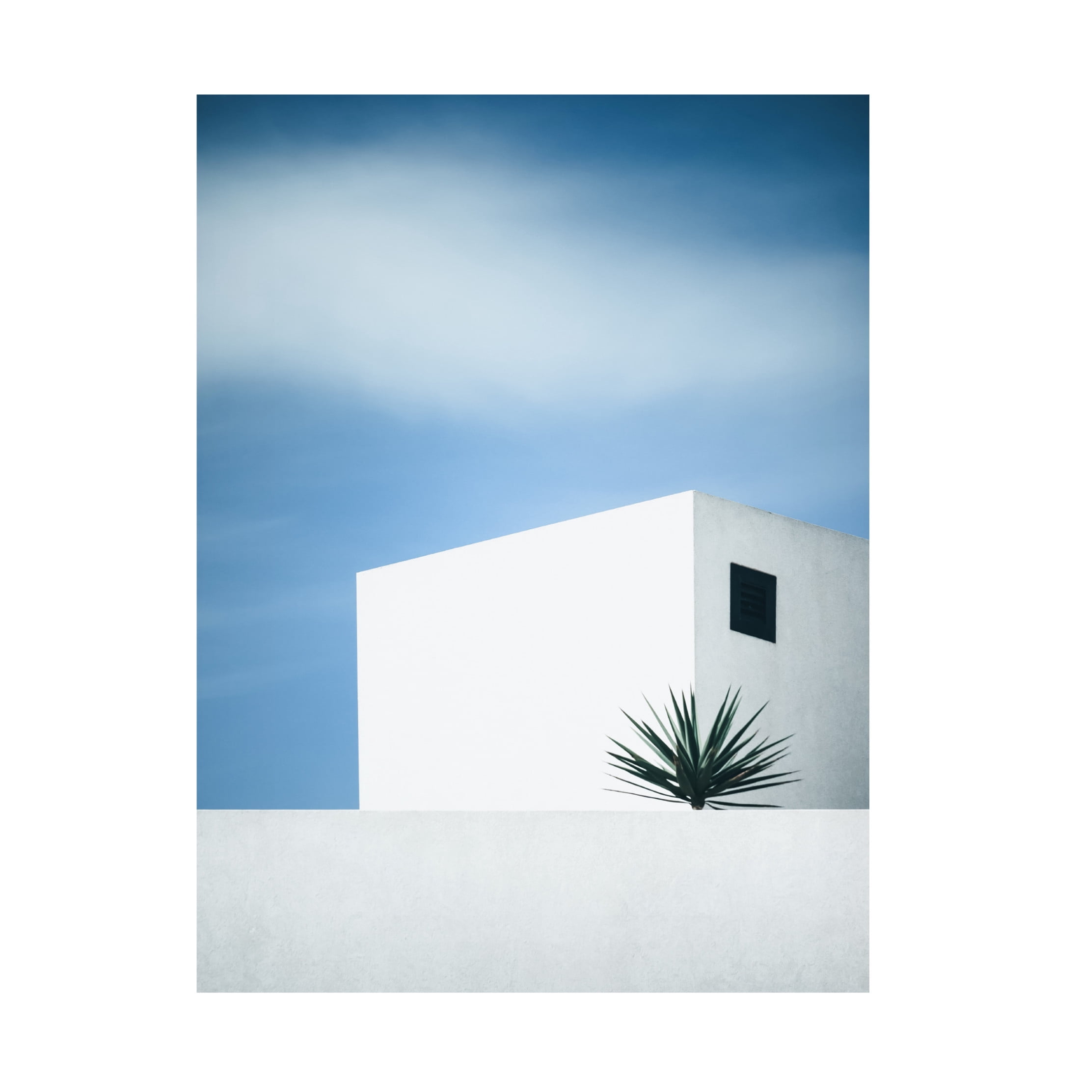 Canvas Wall Art - Renate Wasinger 'Palm Tree' Wall Art for Living Room, Bedroom, or Office D?cor by Trademark Fine Art - 35 x 47 Inches