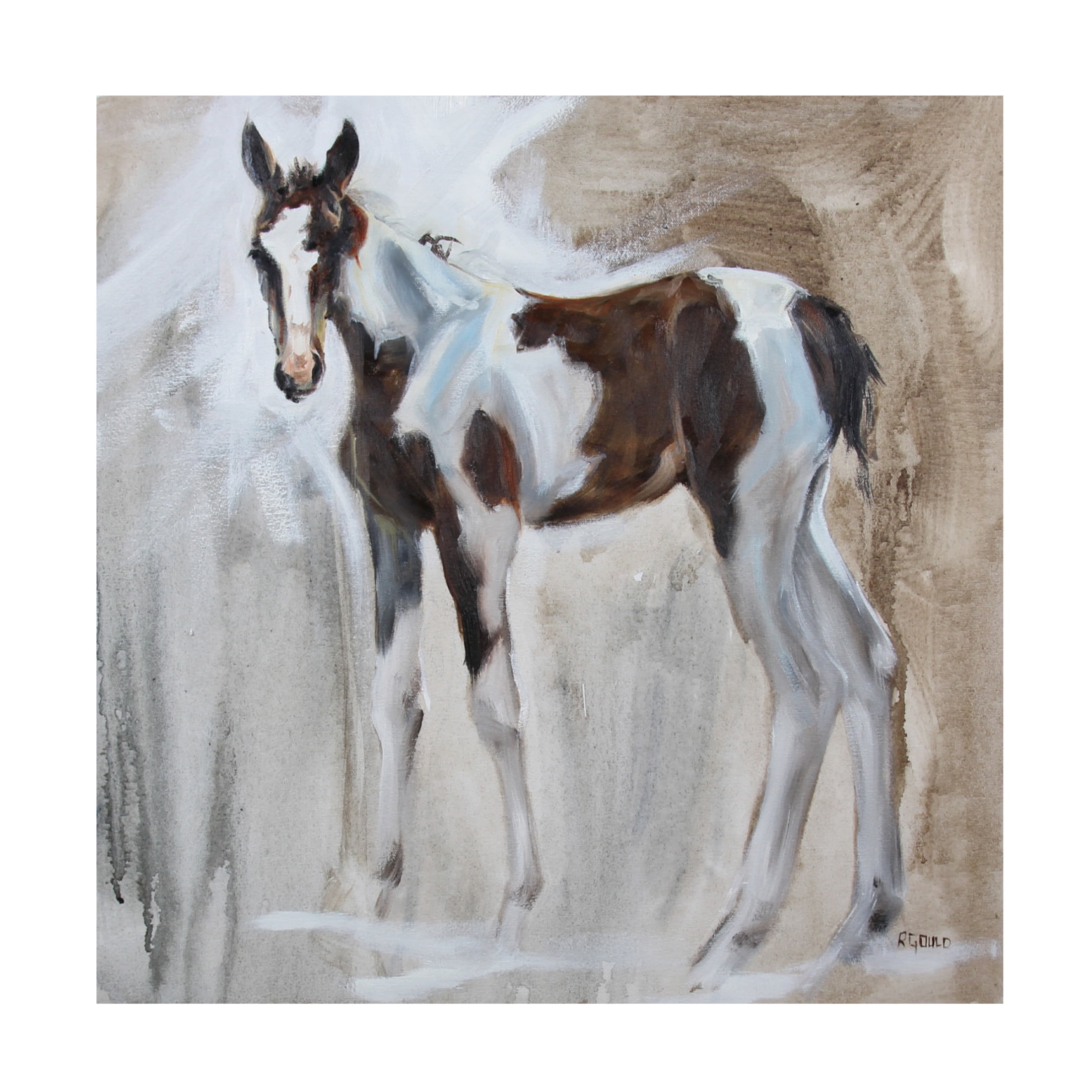 Canvas Wall Art - Renee Gould 'Tiggs' Wall Art for Living Room, Bedroom, or Office Décor by Trademark Fine Art - 35 x 35 Inches
