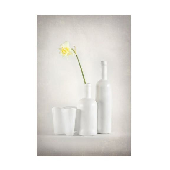 Canvas Wall Art - Richie Hatch 'Whitebloom' Wall Art for Living Room, Bedroom, or Office Décor by Trademark Fine Art - 16 x 24 Inches