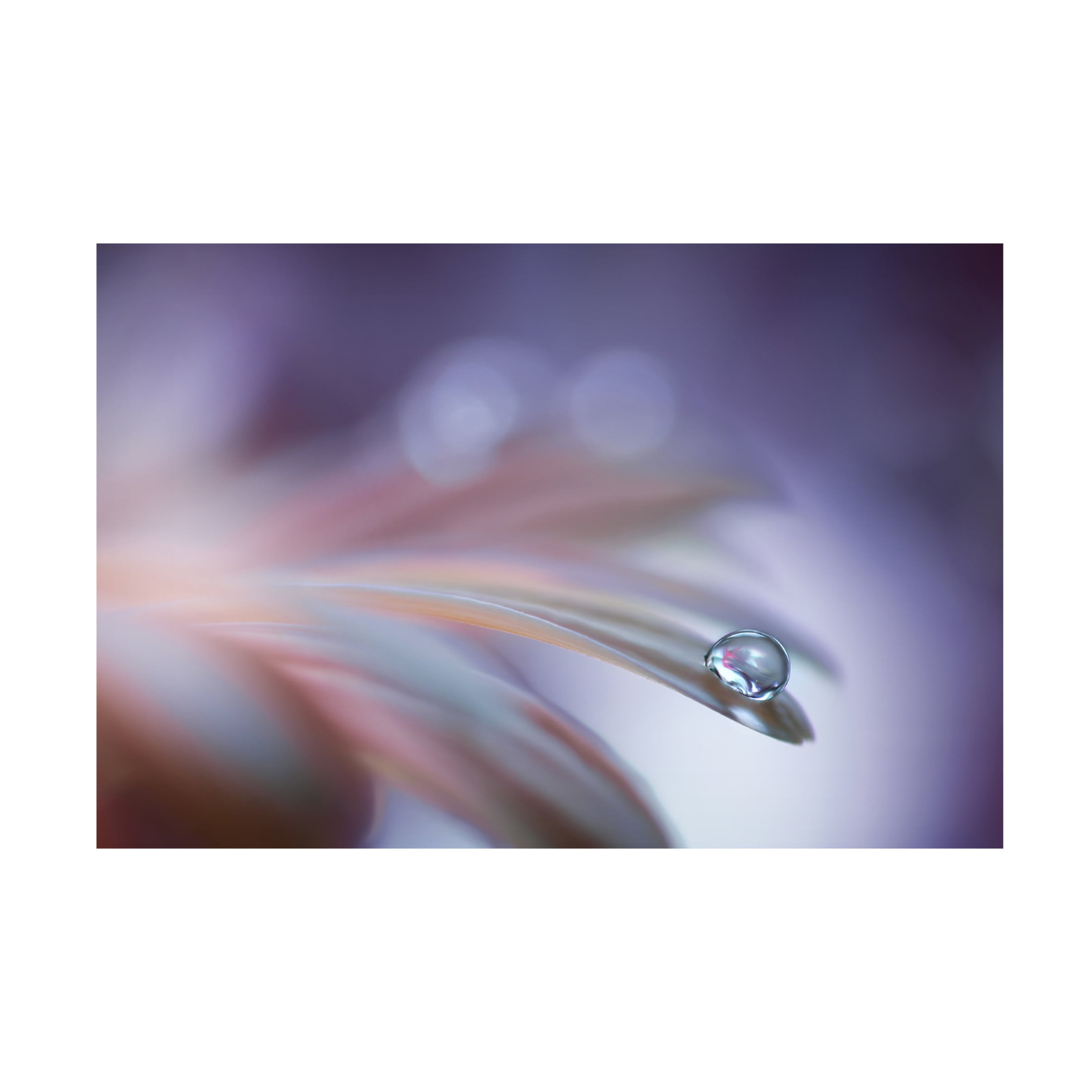 Canvas Wall Art - Rina Barbieri 'Sound Of Soul' Wall Art for Living Room, Bedroom, or Office Décor by Trademark Fine Art - 19 x 12 Inches