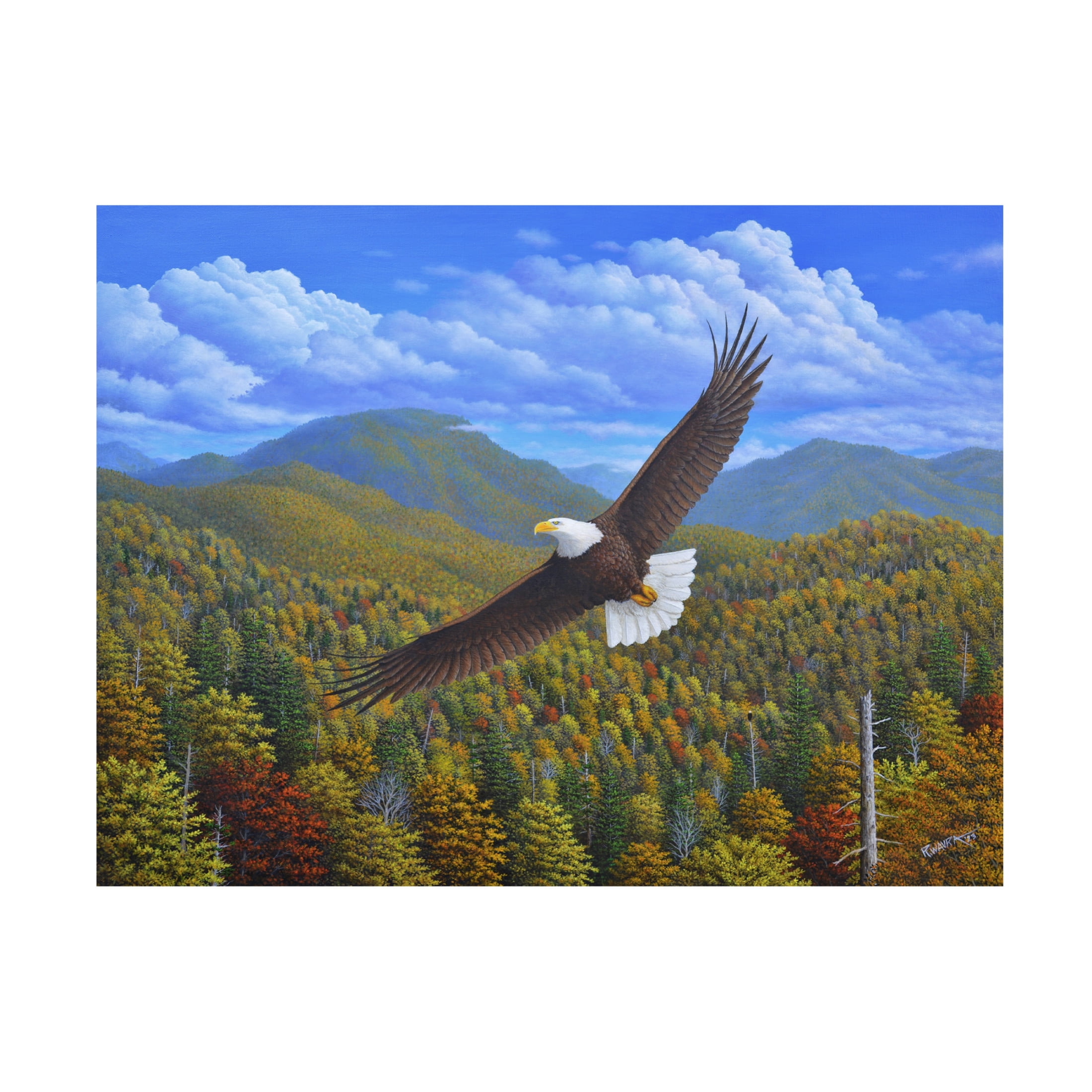 Canvas Wall Art - Robert Wavra 'Catching an Updraft' Wall Art for Living Room, Bedroom, or Office Décor by Trademark Fine Art - 47 x 35 Inches