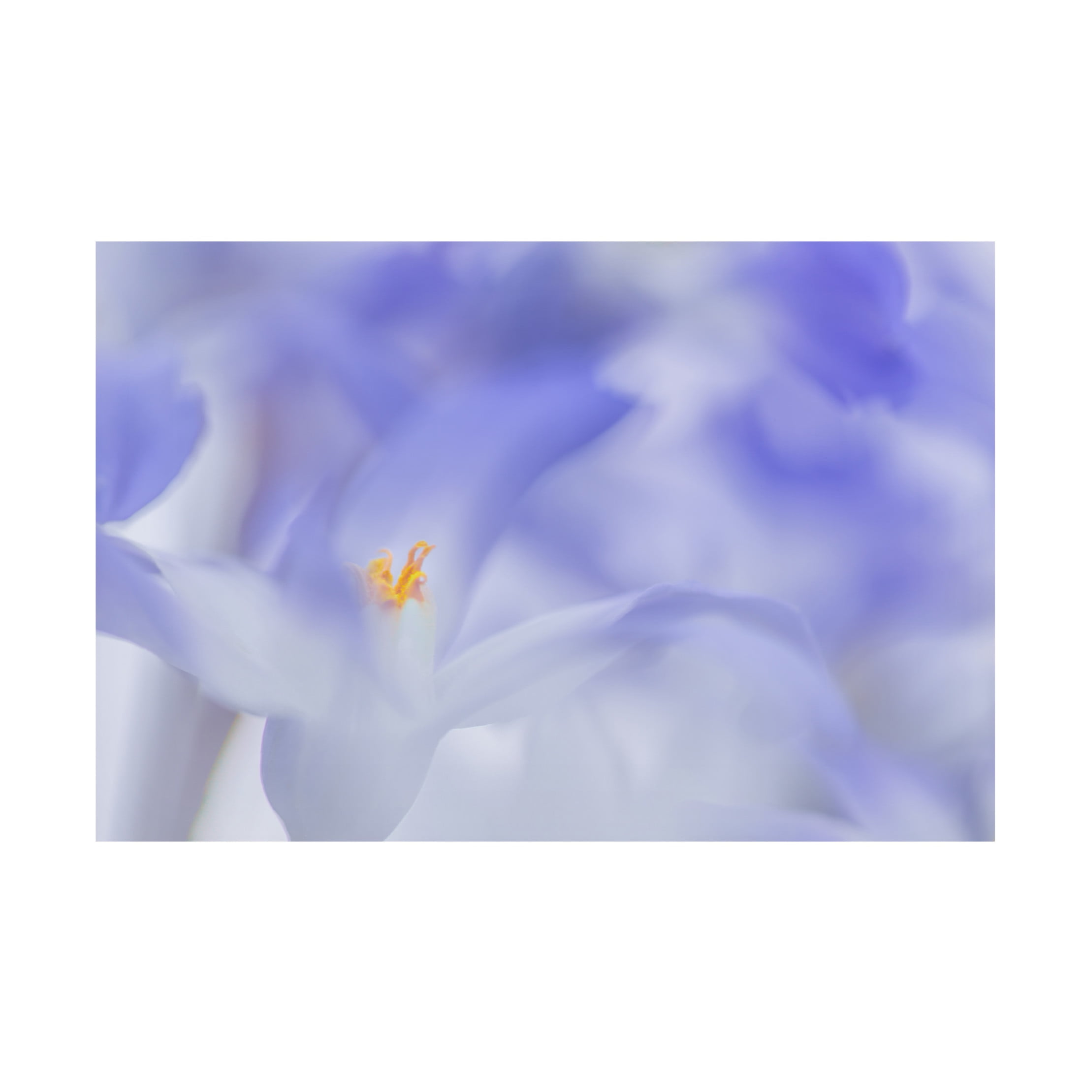 Canvas Wall Art - Roelof de Hoog 'Blue Waves' Wall Art for Living Room, Bedroom, or Office Décor by Trademark Fine Art - 24 x 16 Inches