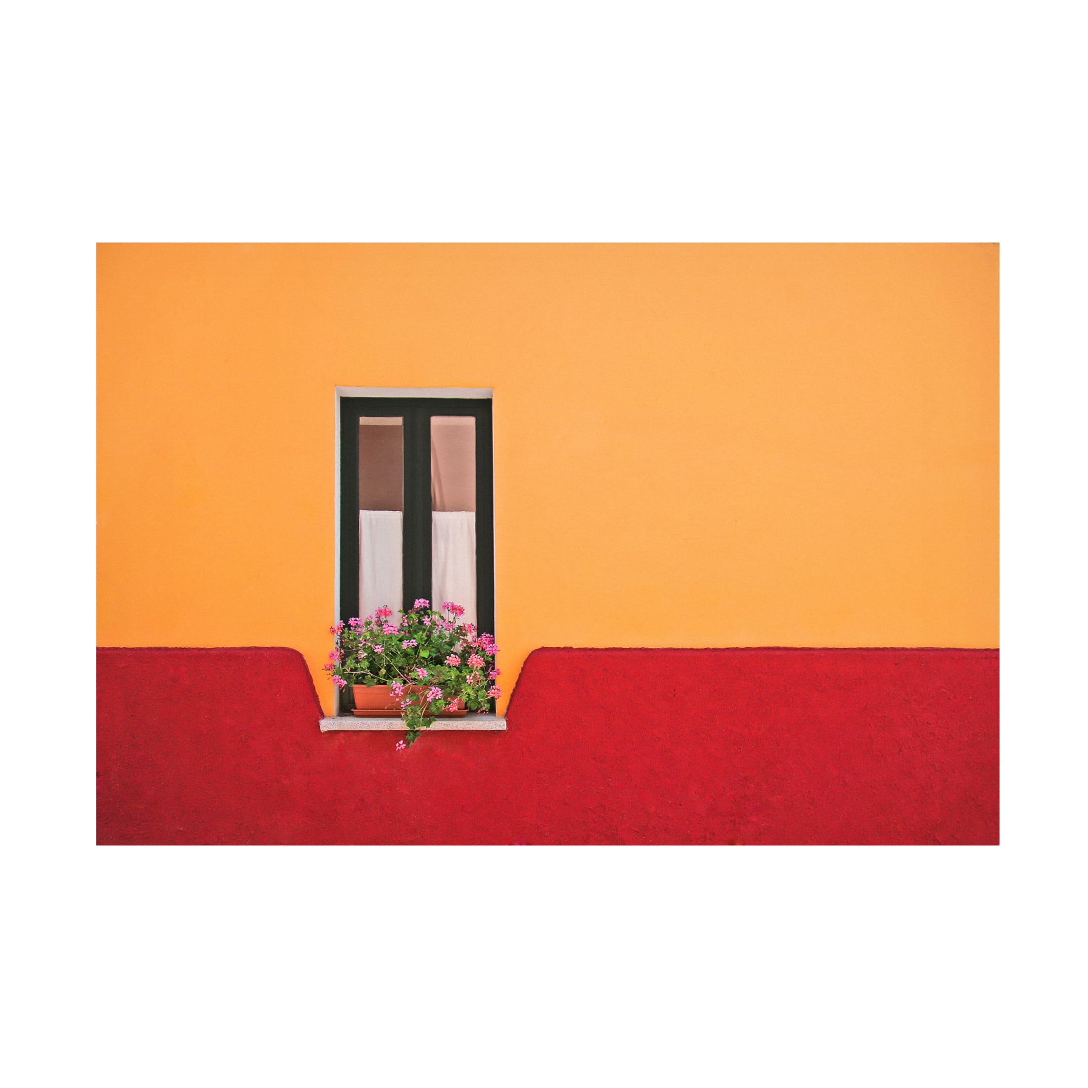 Canvas Wall Art - Rolf Endermann 'Window Flower' Wall Art for Living Room, Bedroom, or Office Décor by Trademark Fine Art - 24 x 16 Inches