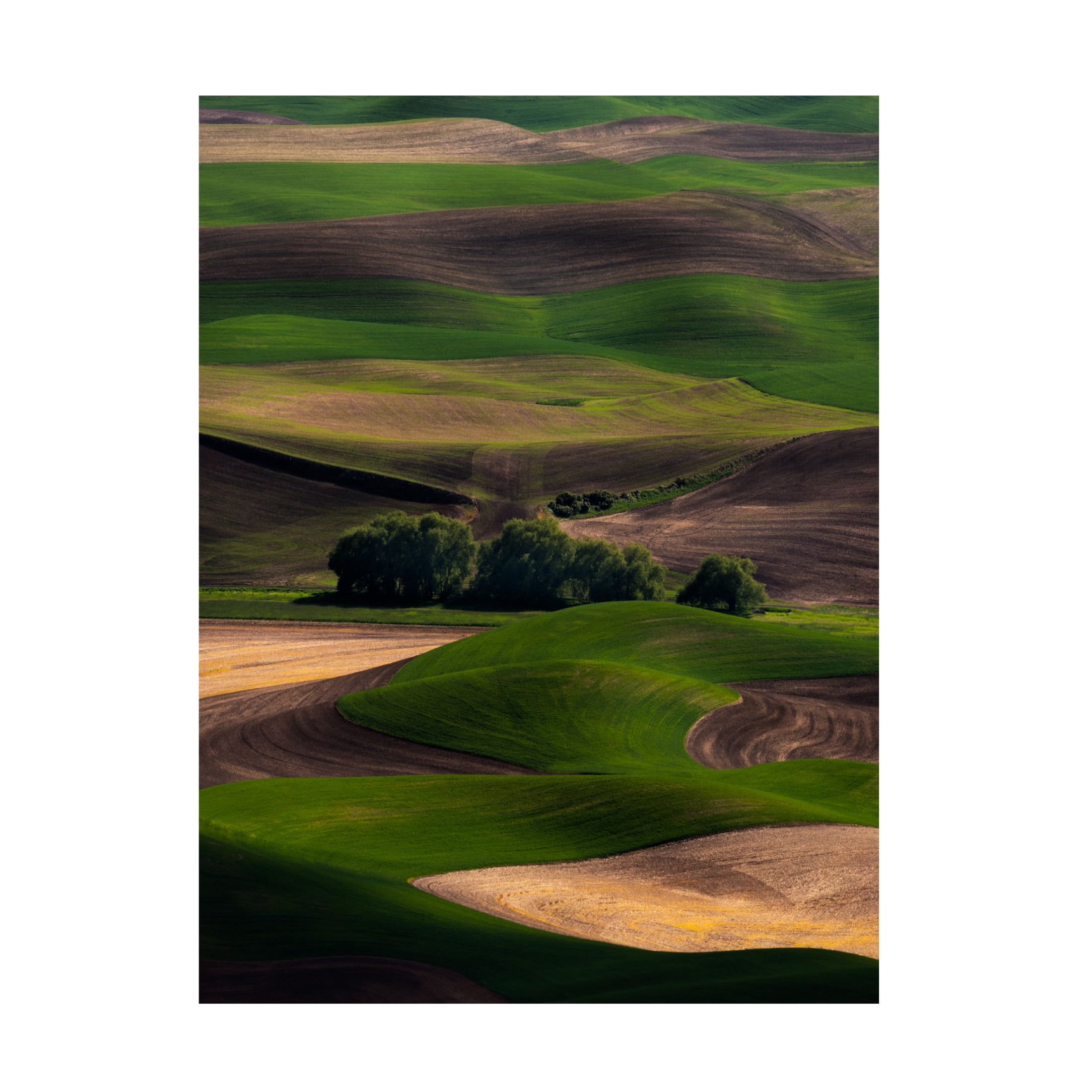Canvas Wall Art - Ron Langager 'Rolling Dreams' Wall Art for Living Room, Bedroom, or Office Décor by Trademark Fine Art - 35 x 47 Inches