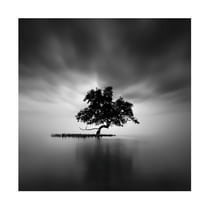 Canvas Wall Art - Rony Tjayana 'Back Light' Wall Art for Living Room, Bedroom, or Office D?cor by Trademark Fine Art - 14 x 14 Inches