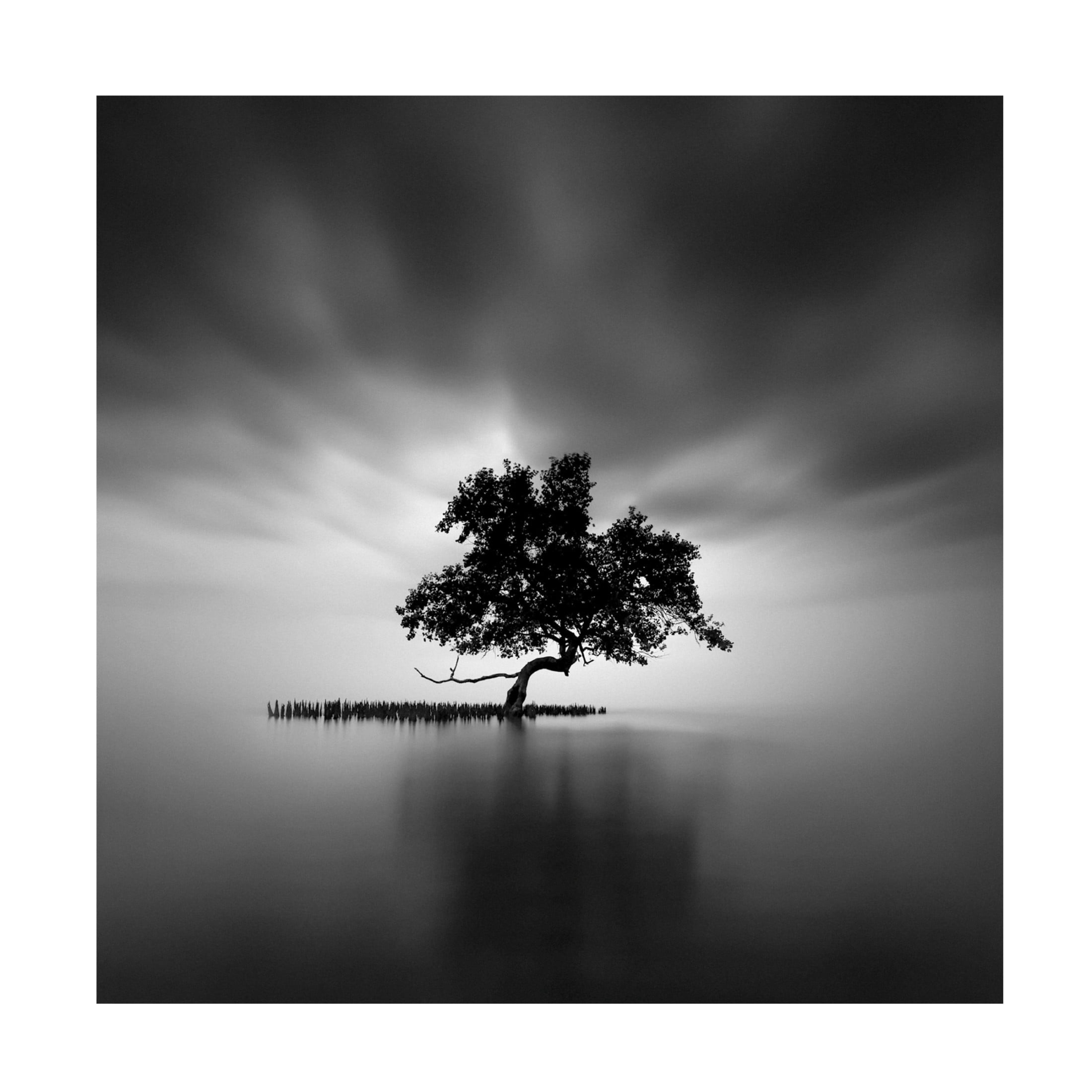 Canvas Wall Art - Rony Tjayana 'Back Light' Wall Art for Living Room, Bedroom, or Office D?cor by Trademark Fine Art - 18 x 18 Inches