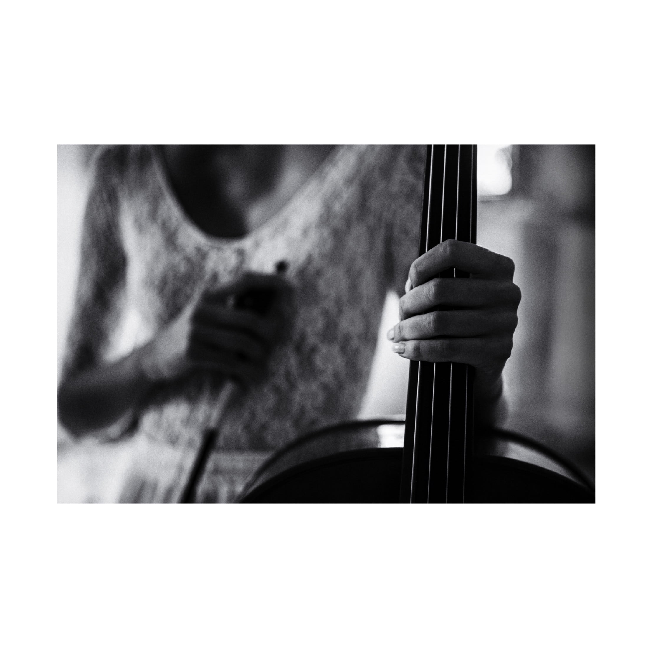 Canvas Wall Art - Roswitha Schleicher-Schwarz 'Break For The Cello' Wall Art for Living Room, Bedroom, or Office D?cor by Trademark Fine Art - 19 x 12 Inches