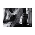 thumbnail image 1 of Canvas Wall Art - Roswitha Schleicher-Schwarz 'Break For The Cello' Wall Art for Living Room, Bedroom, or Office D?cor by Trademark Fine Art - 32 x 22 Inches, 1 of 4