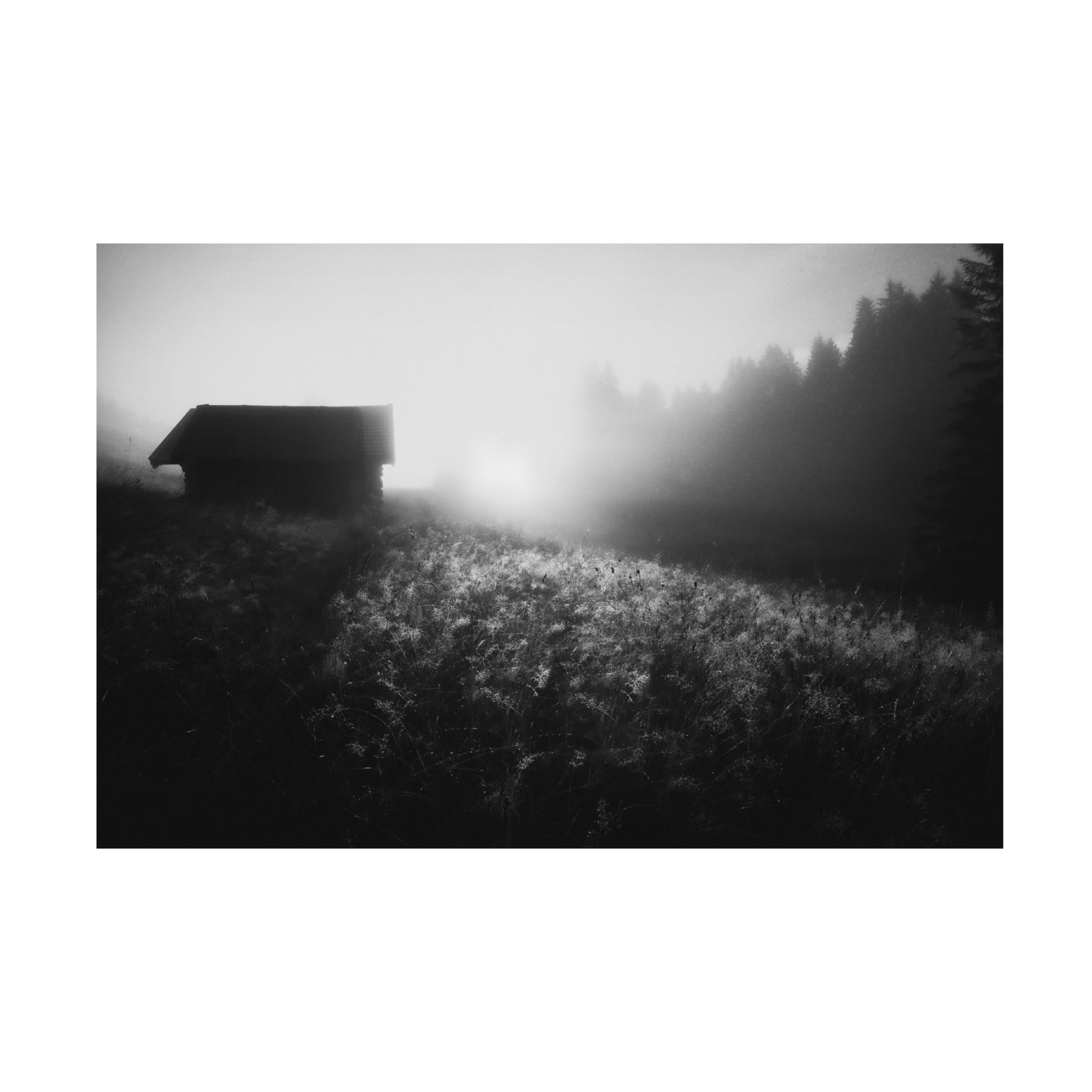 Canvas Wall Art - Roswitha Schleicher-Schwarz 'Sun Licks Dew' Wall Art for Living Room, Bedroom, or Office Décor by Trademark Fine Art - 32 x 22 Inches
