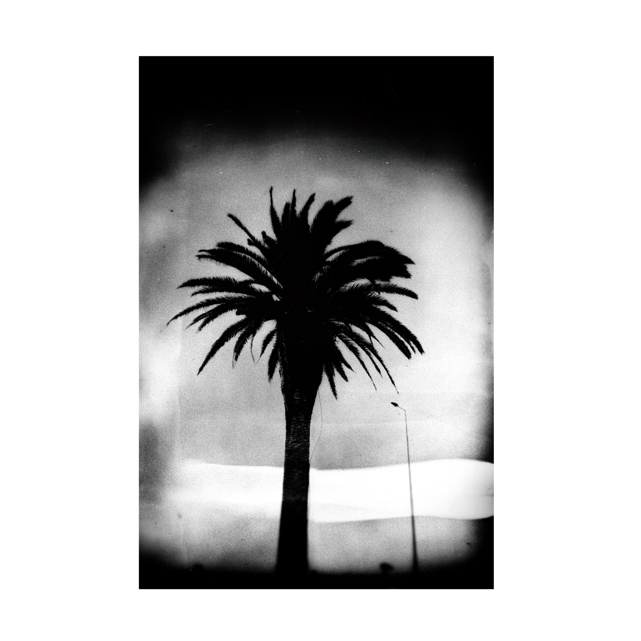 Canvas Wall Art - Rui Correia 'The Silence' Wall Art for Living Room, Bedroom, or Office Décor by Trademark Fine Art - 22 x 32 Inches