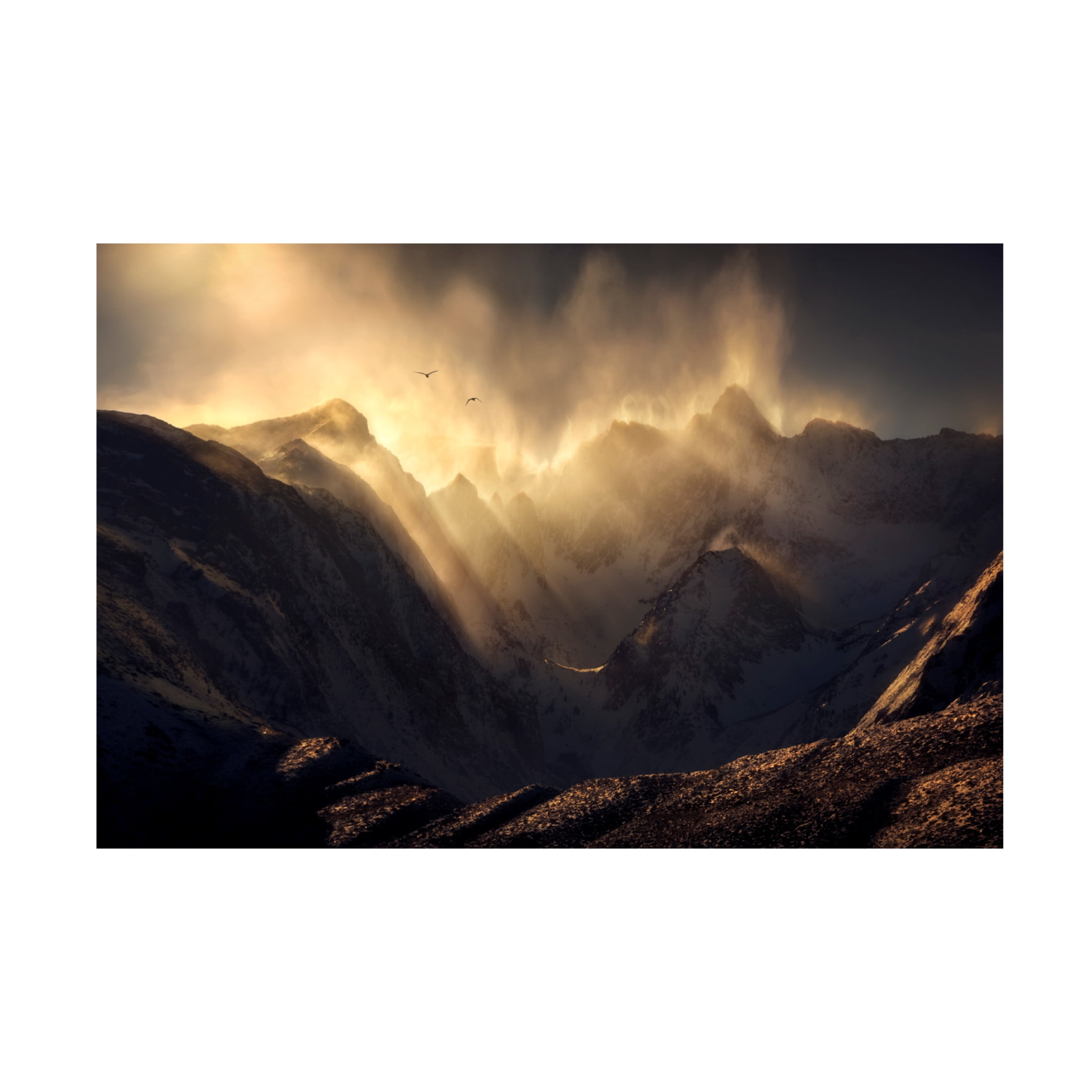 Canvas Wall Art - Ryan Dyar 'Polterzeitgeist' Wall Art for Living Room, Bedroom, or Office Décor by Trademark Fine Art - 19 x 12 Inches