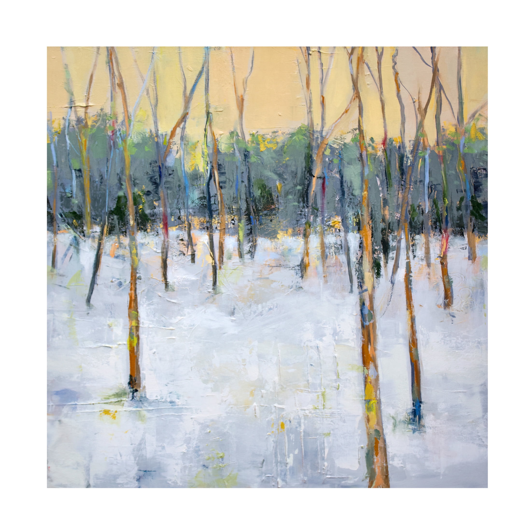 Canvas Wall Art - Sally Hootnick 'Forest' Wall Art for Living Room, Bedroom, or Office Décor by Trademark Fine Art - 14 x 14 Inches