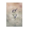 thumbnail image 1 of Canvas Wall Art - Sam Bastien 'Sweet World' Wall Art for Living Room, Bedroom, or Office Décor by Trademark Fine Art - 22 x 32 Inches, 1 of 4