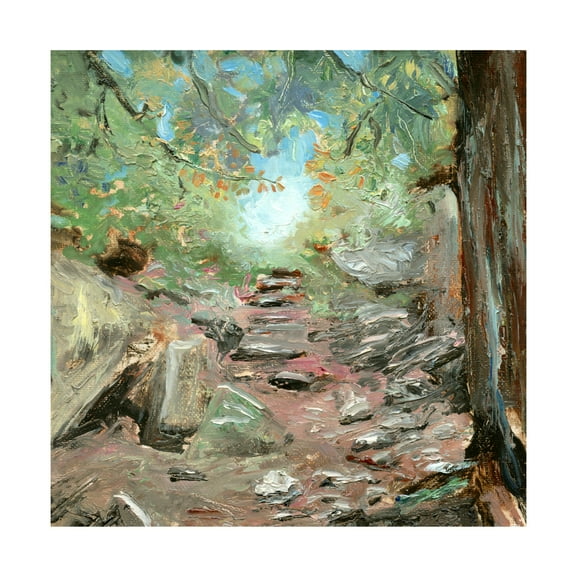 Canvas Wall Art - Sandra Iafrate 'Trail in Woods' Wall Art for Living Room, Bedroom, or Office Décor by Trademark Fine Art - 14 x 14 Inches