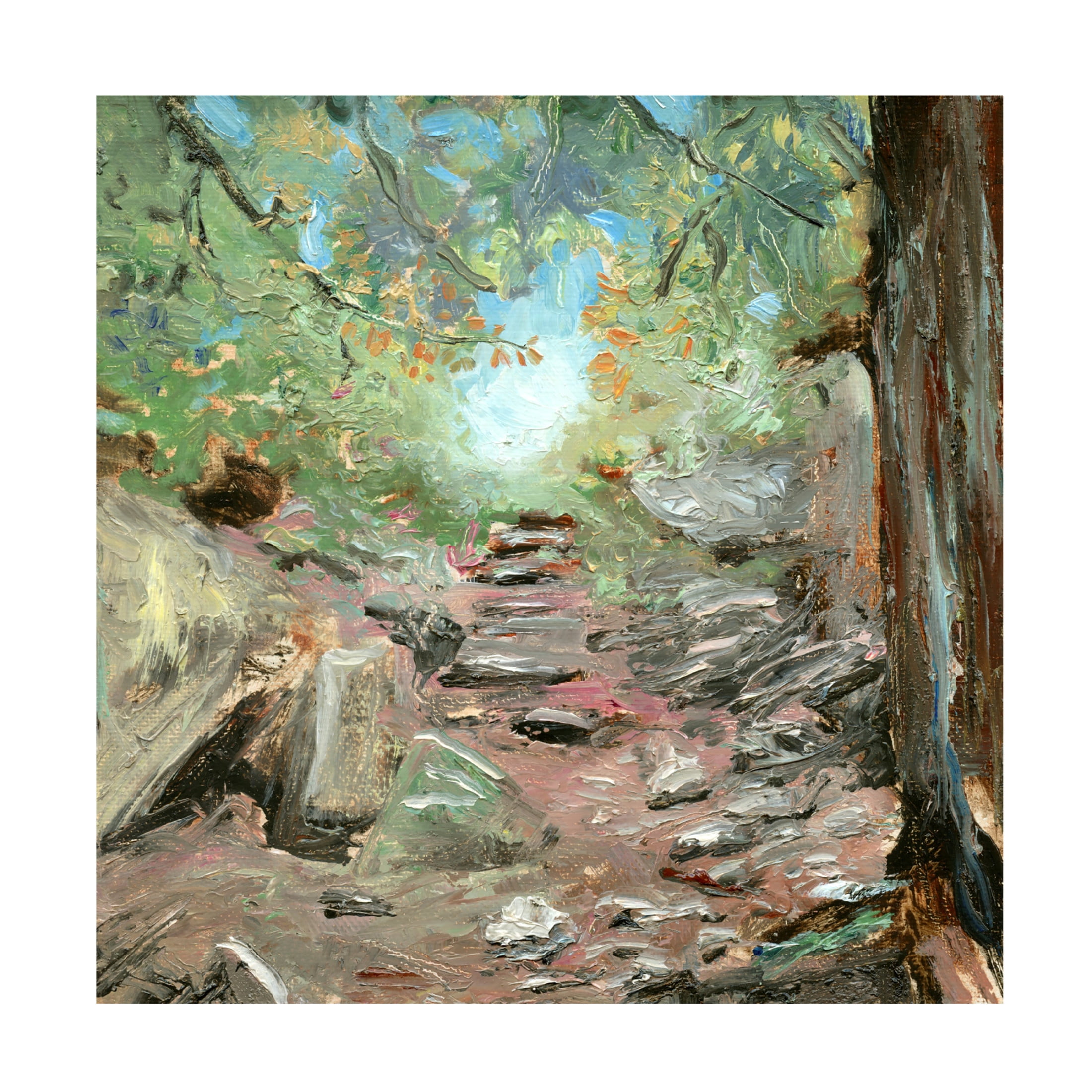Canvas Wall Art - Sandra Iafrate 'Trail in Woods' Wall Art for Living Room, Bedroom, or Office Décor by Trademark Fine Art - 24 x 24 Inches