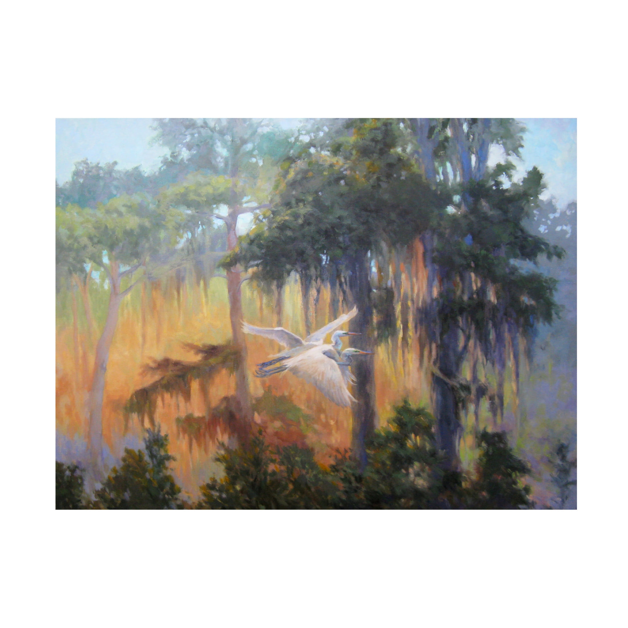 Canvas Wall Art - Sandy Nelson 'Into The Light' Wall Art for Living Room, Bedroom, or Office Décor by Trademark Fine Art - 19 x 14 Inches